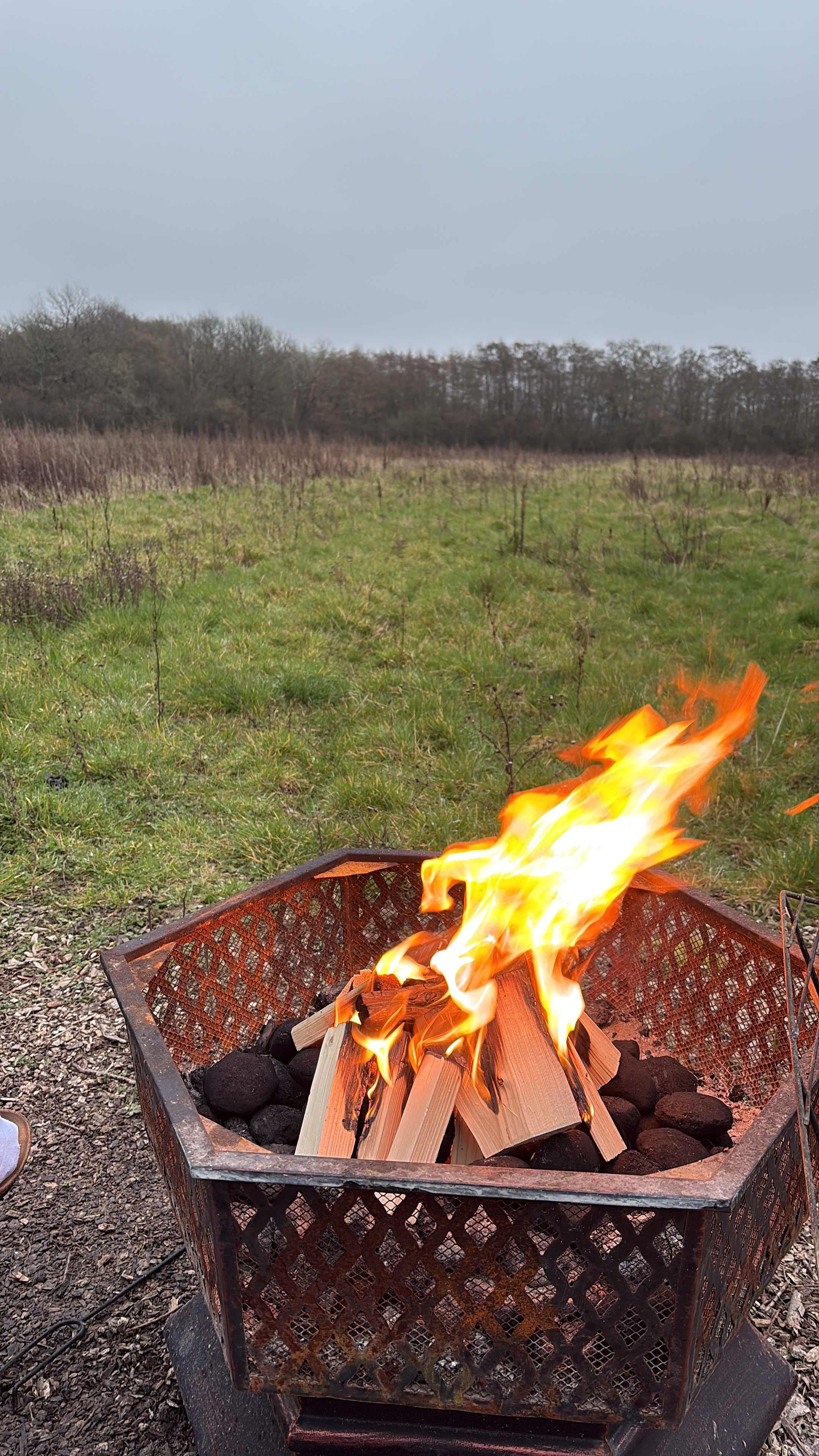 Willow Wood Off-Grid Cabin