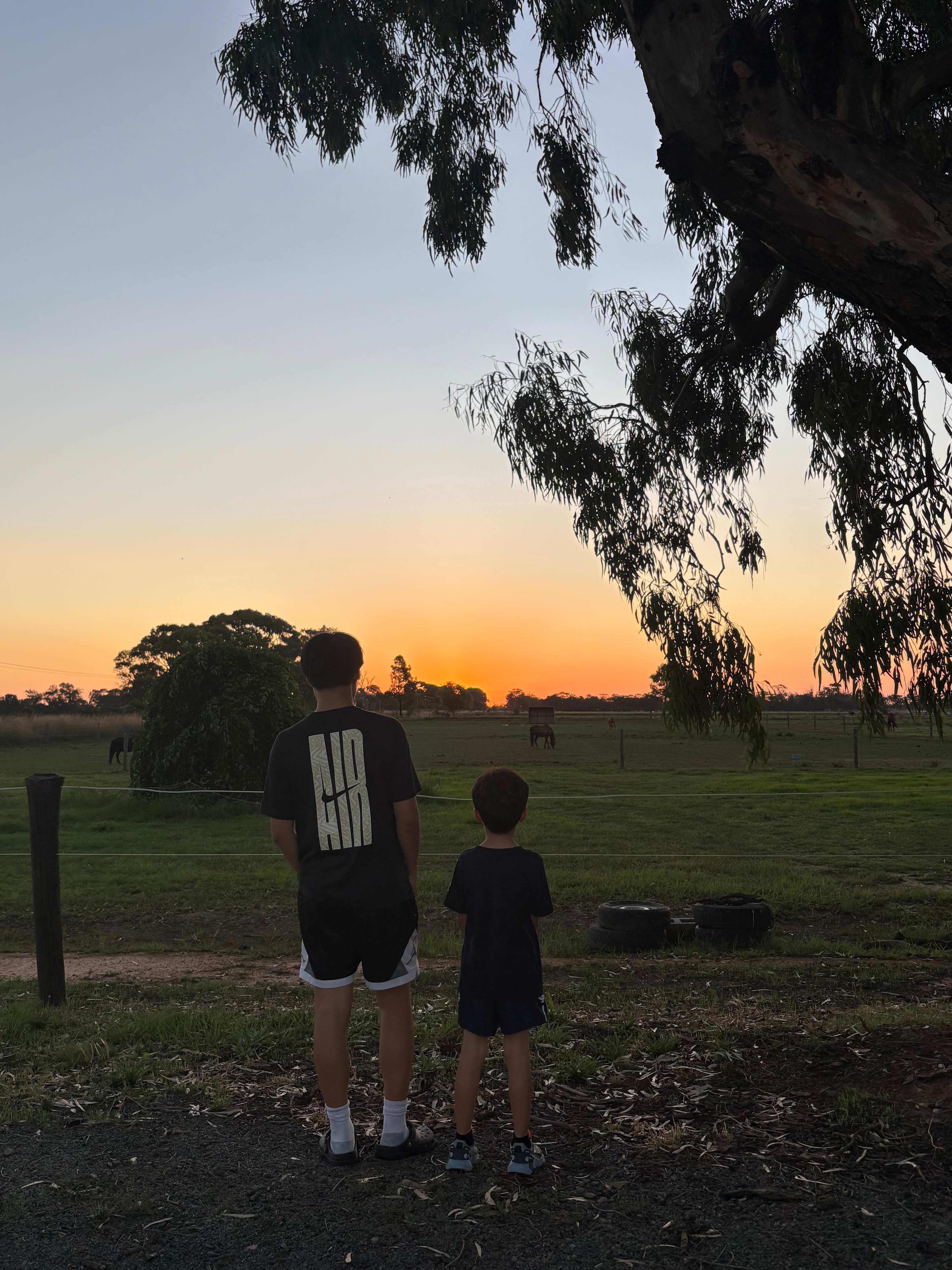 Ellesmere Park Farm Stay