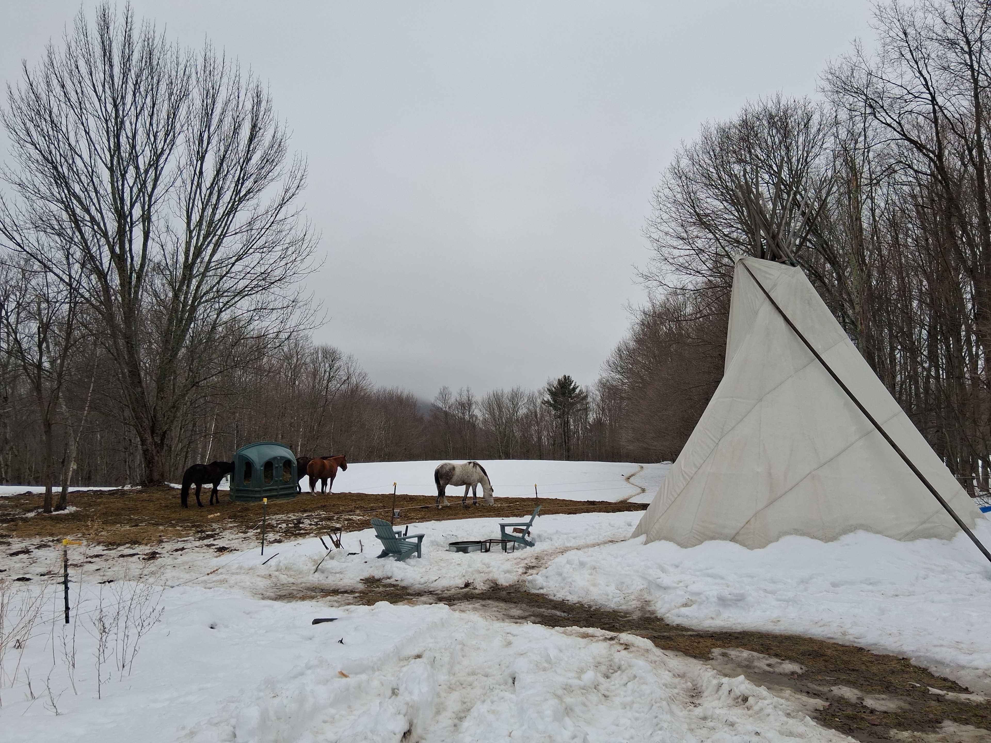 Cherry Plain Sanctuary Farm