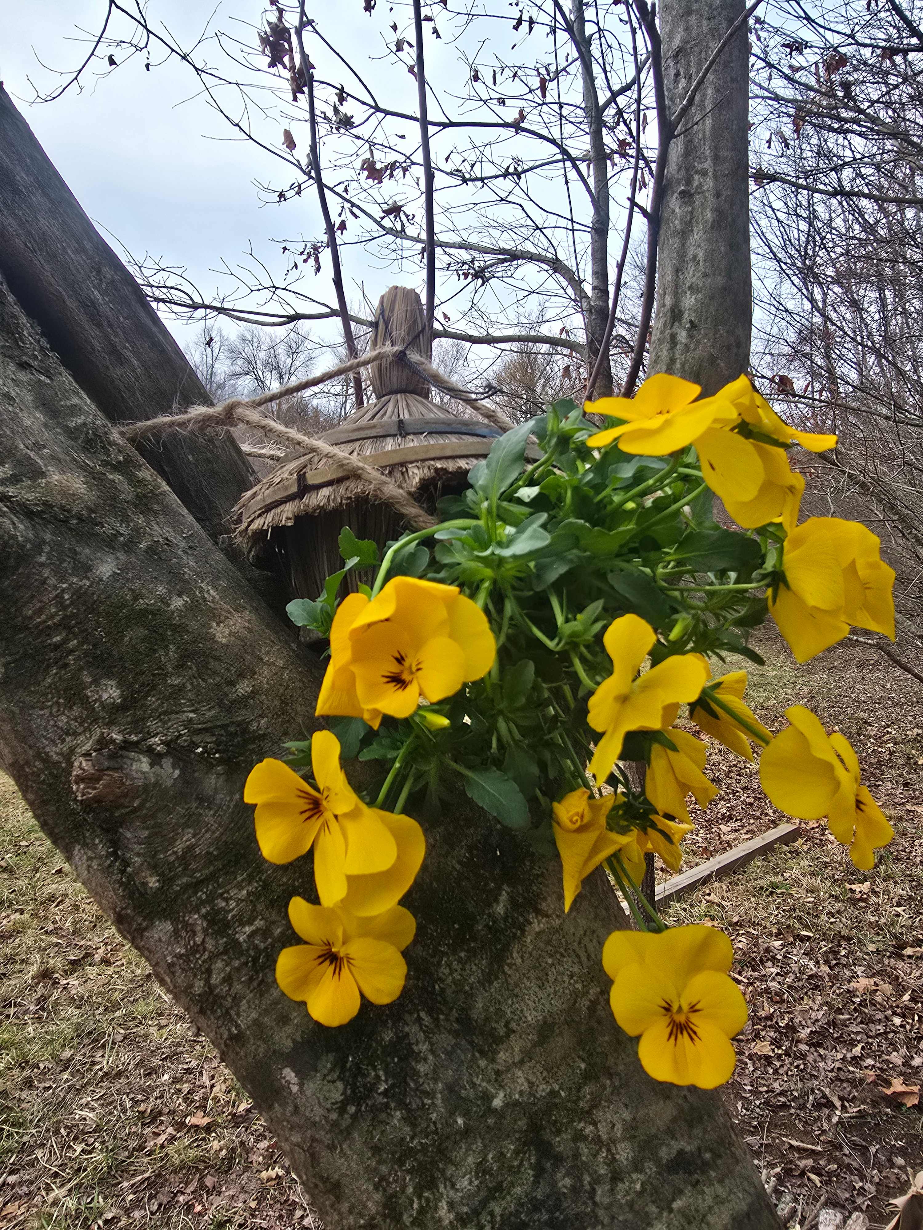 Beautiful plants all around