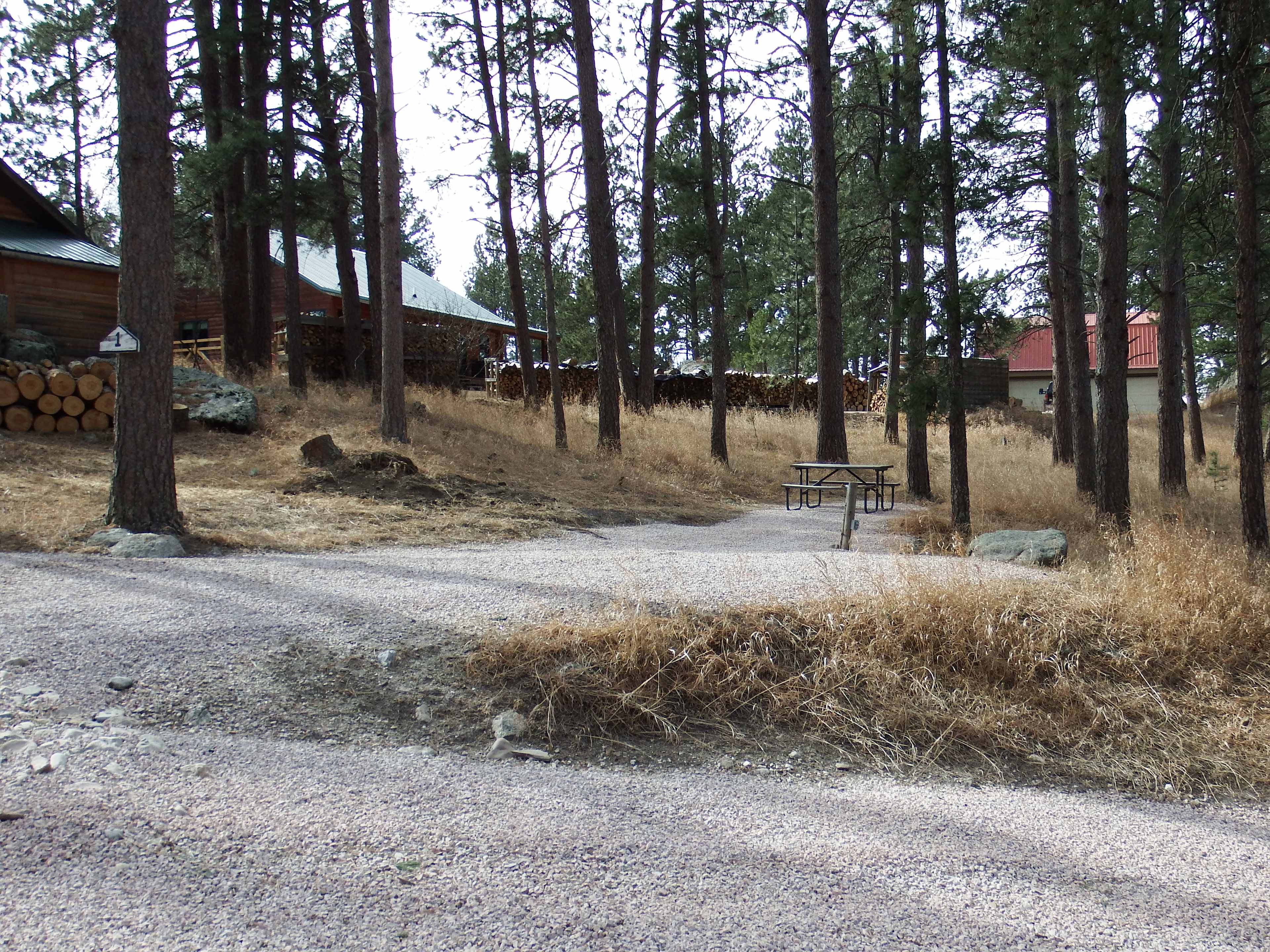 Picture of the site