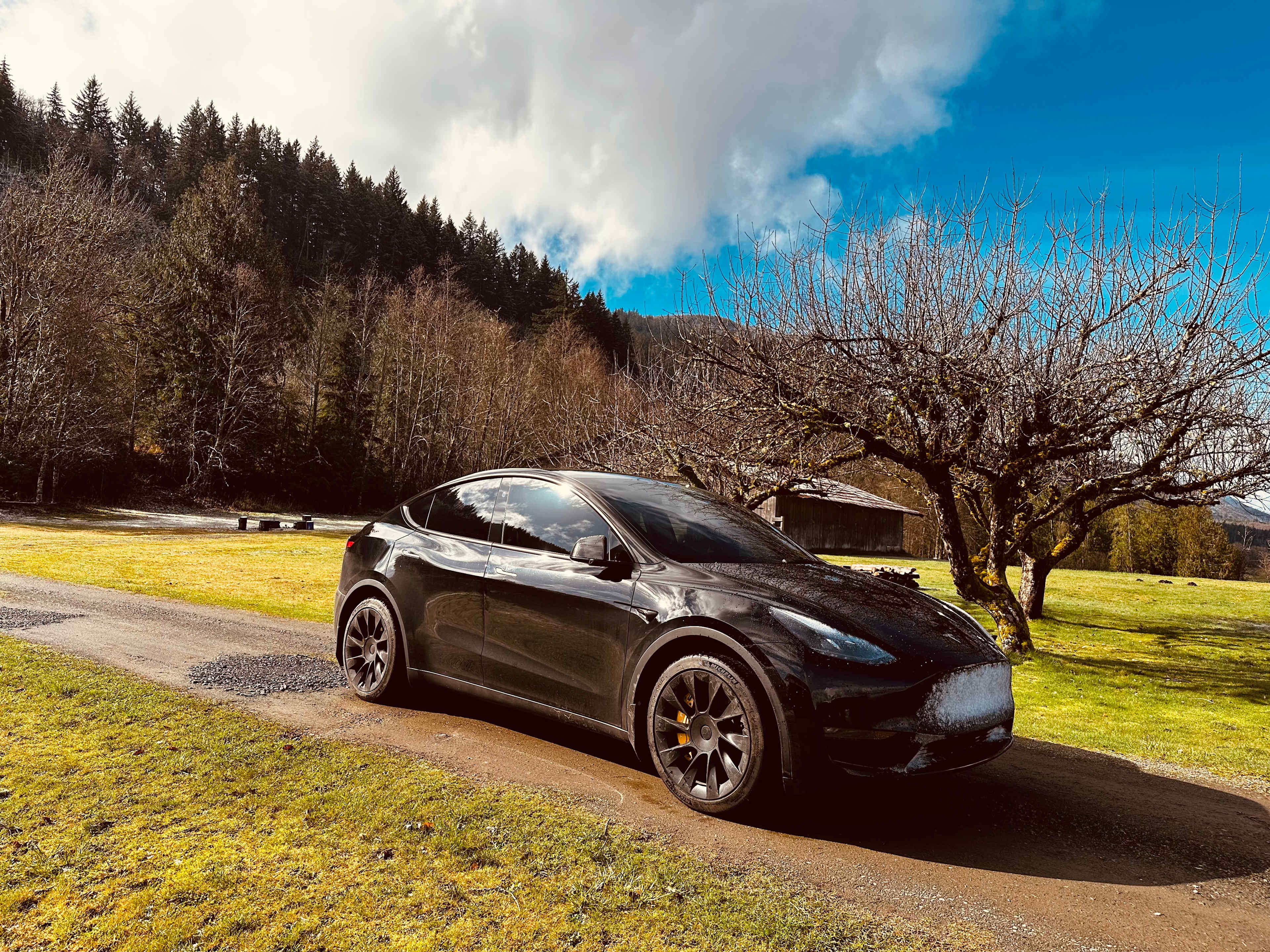 Painter’s Paradise