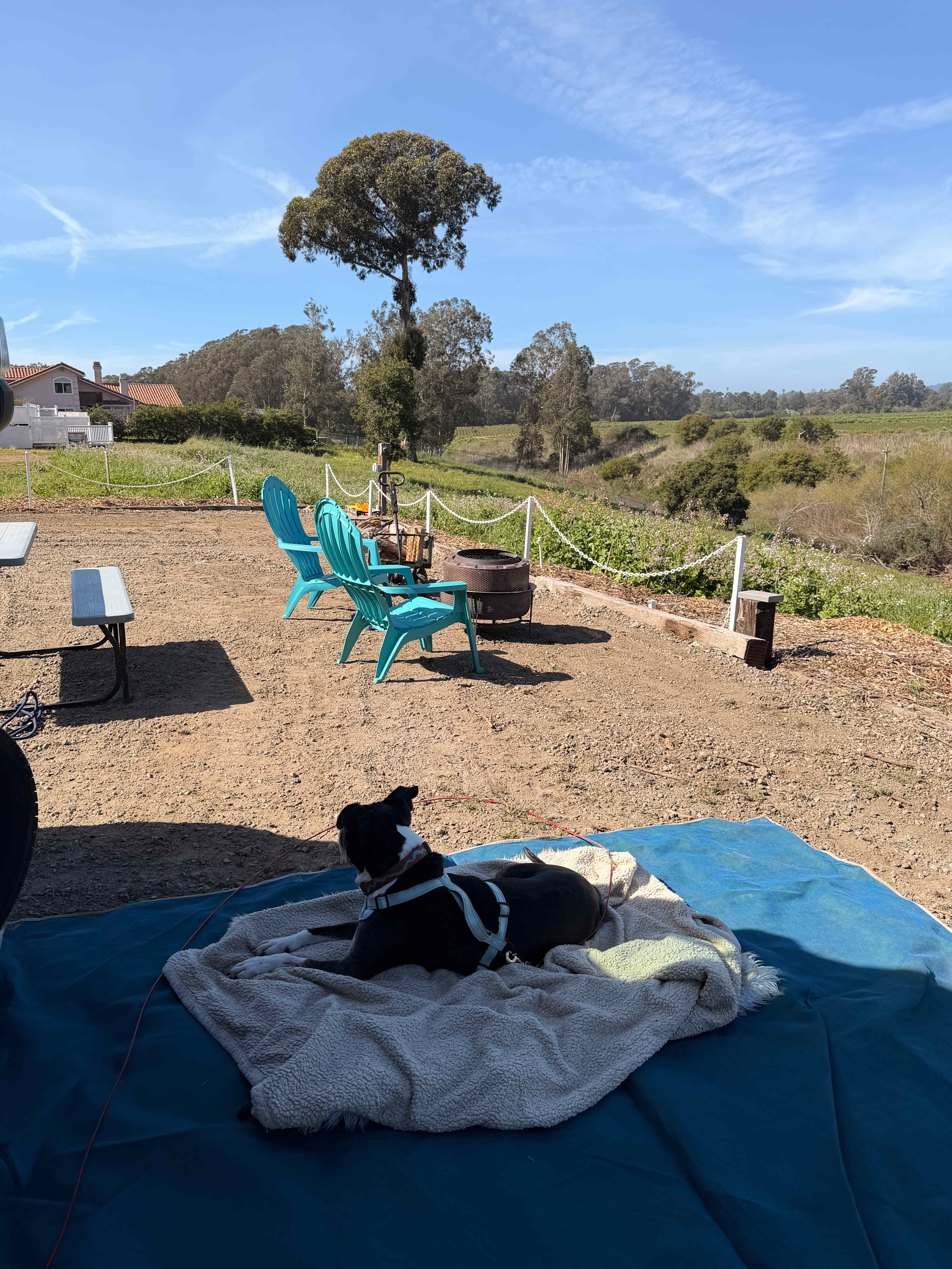 Strawberry Fields+Walk to the Beach