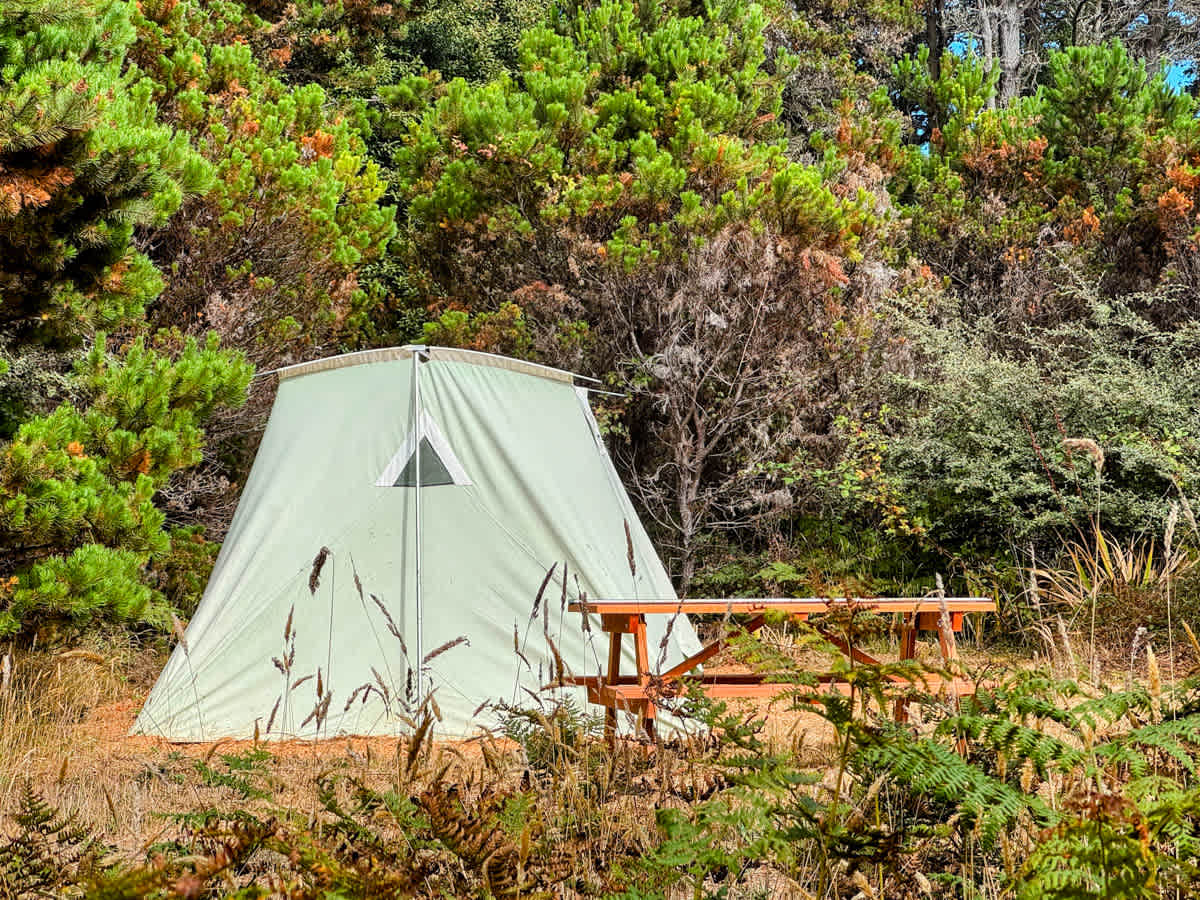 Camp Candy Cap - Coastal Paradise