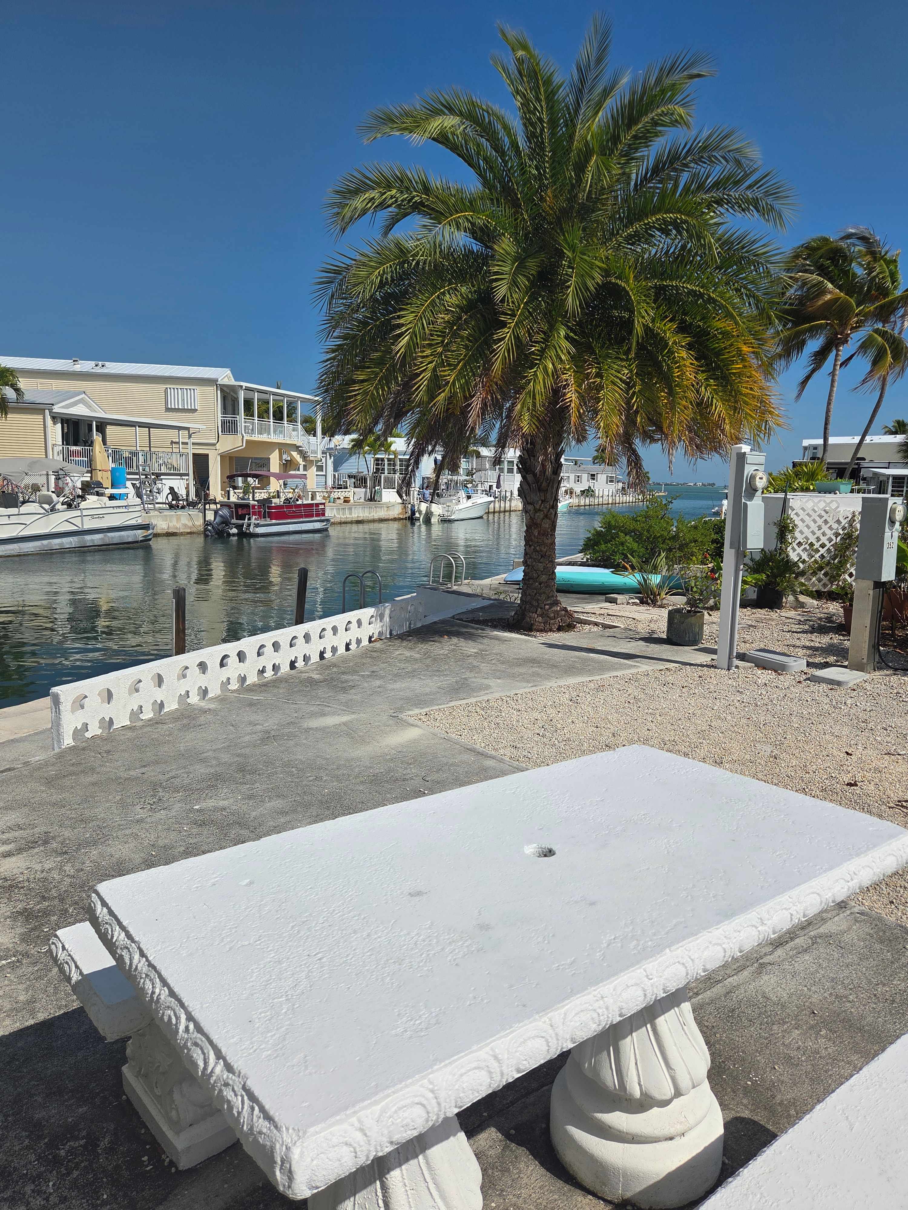 Little Palm By The Sea