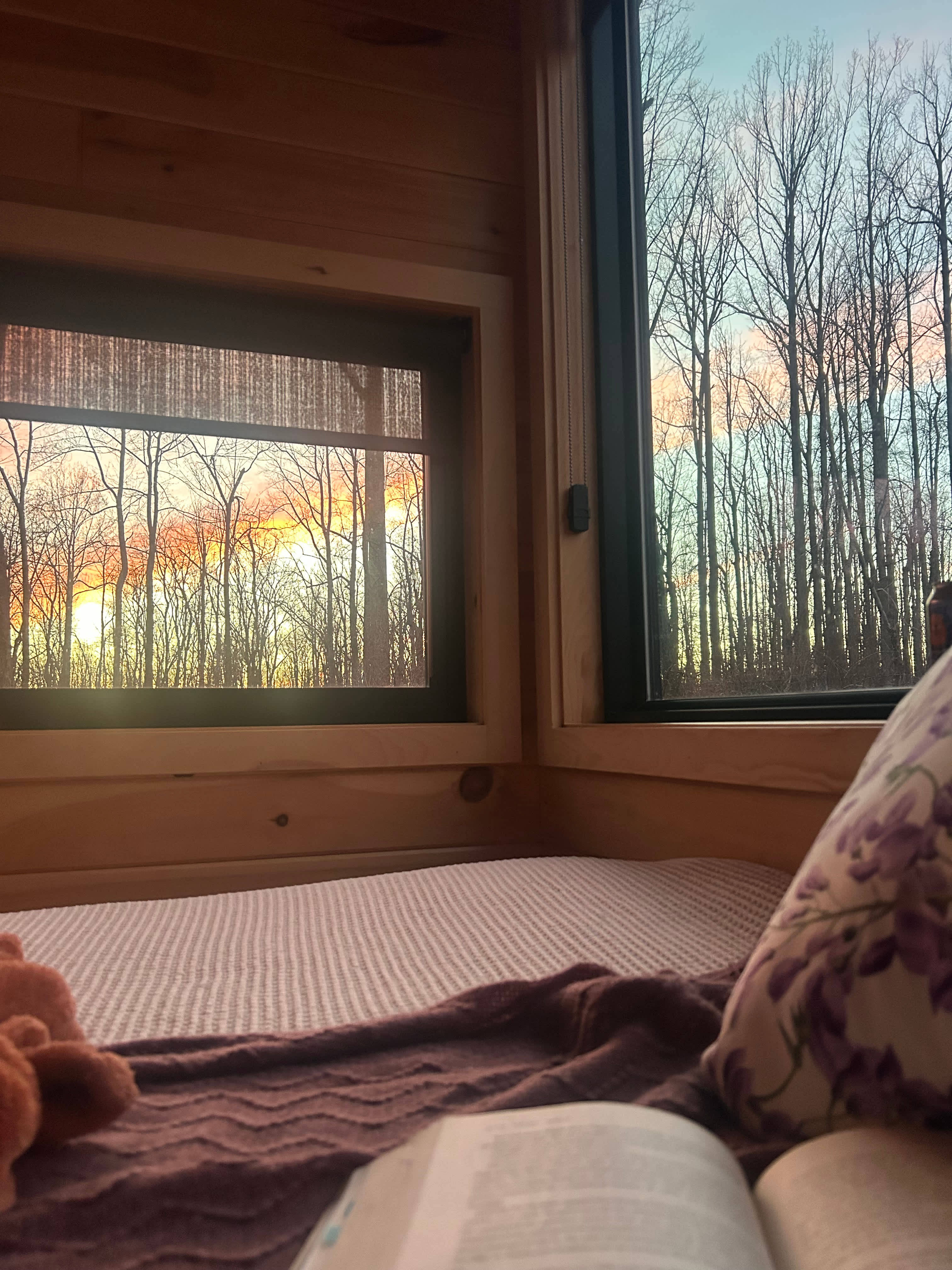 Beautiful view of the sunset from my bed!