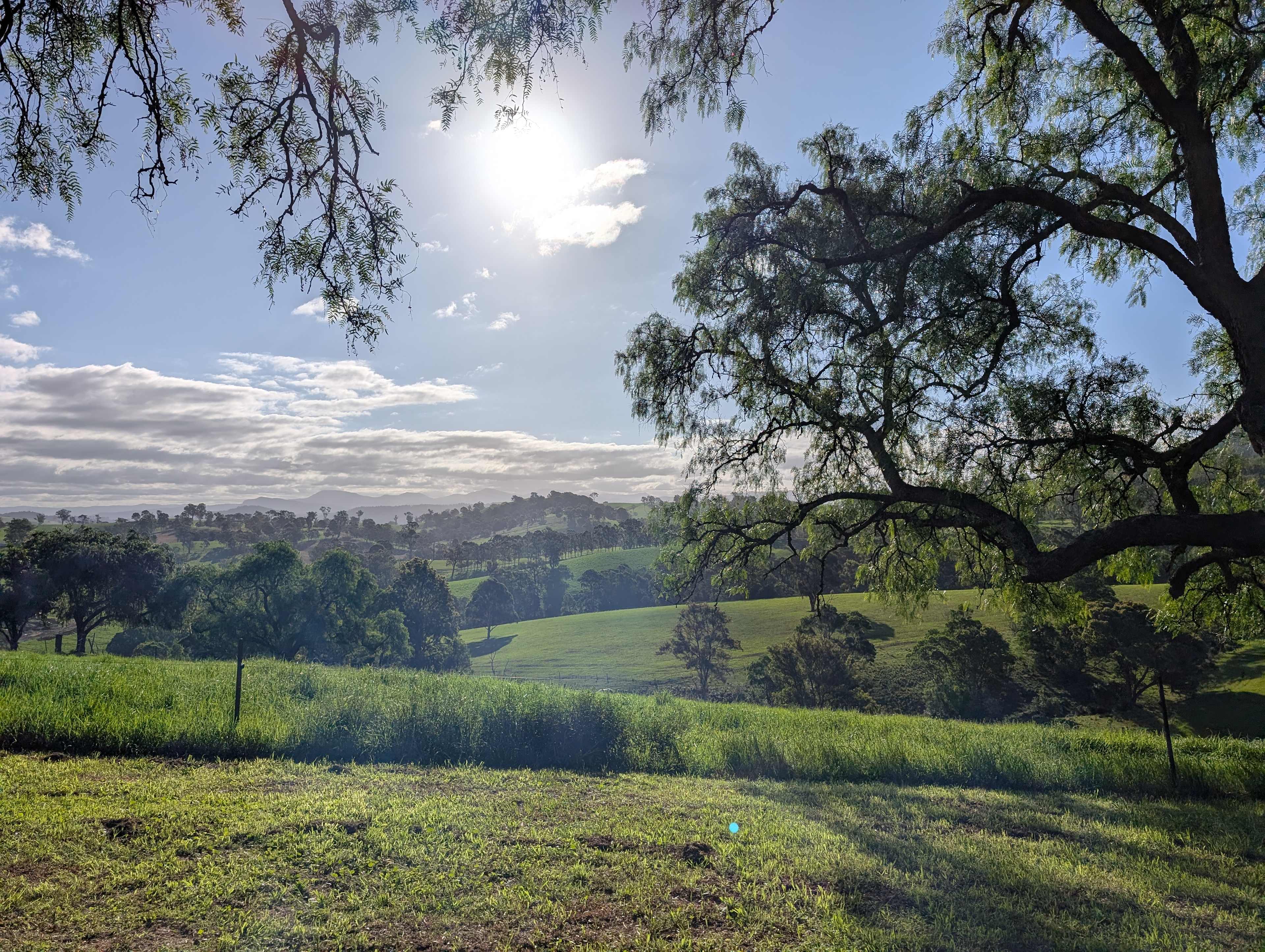 Sapphire Coast Dairy-Homestead
