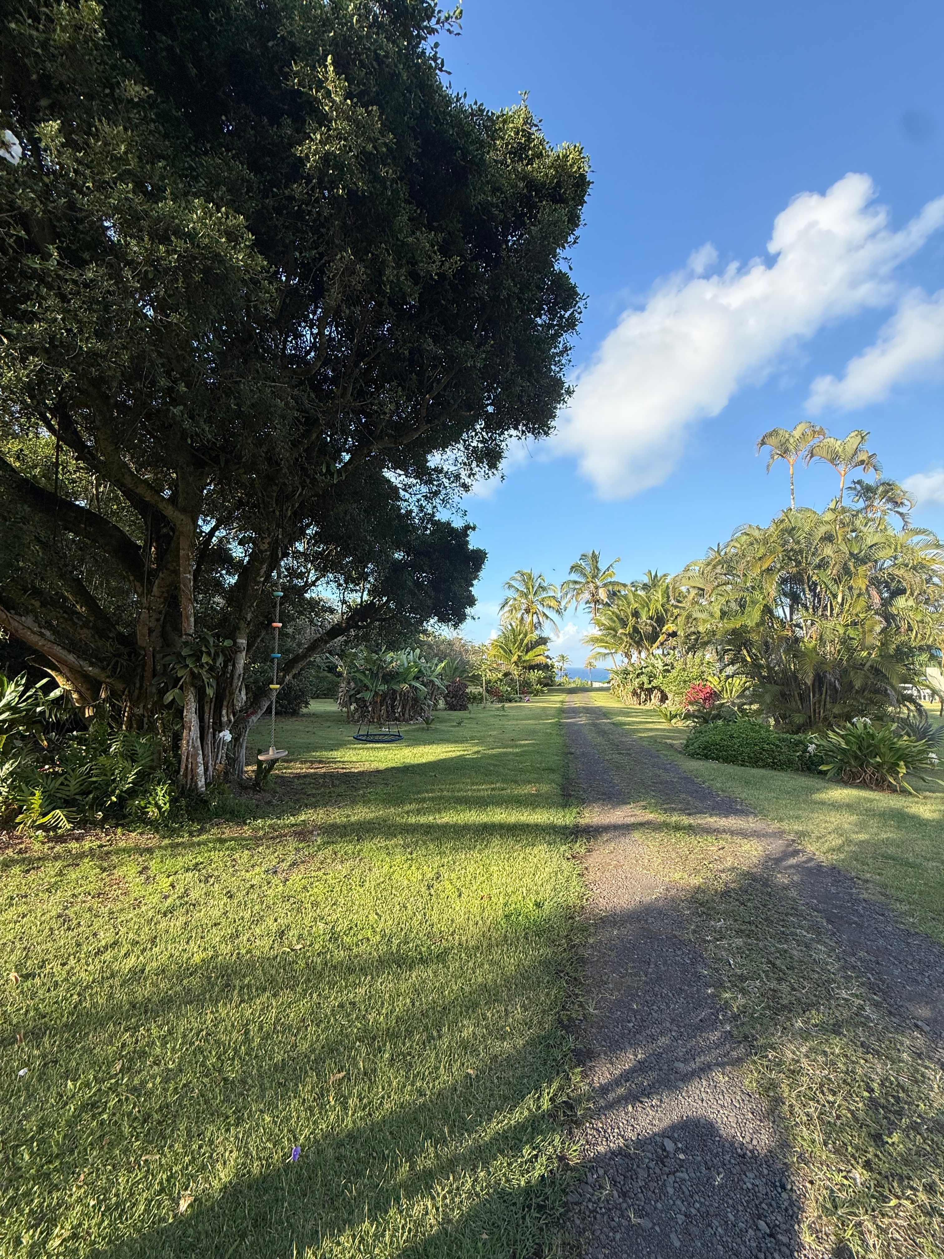 Wild Blue Water Ranch