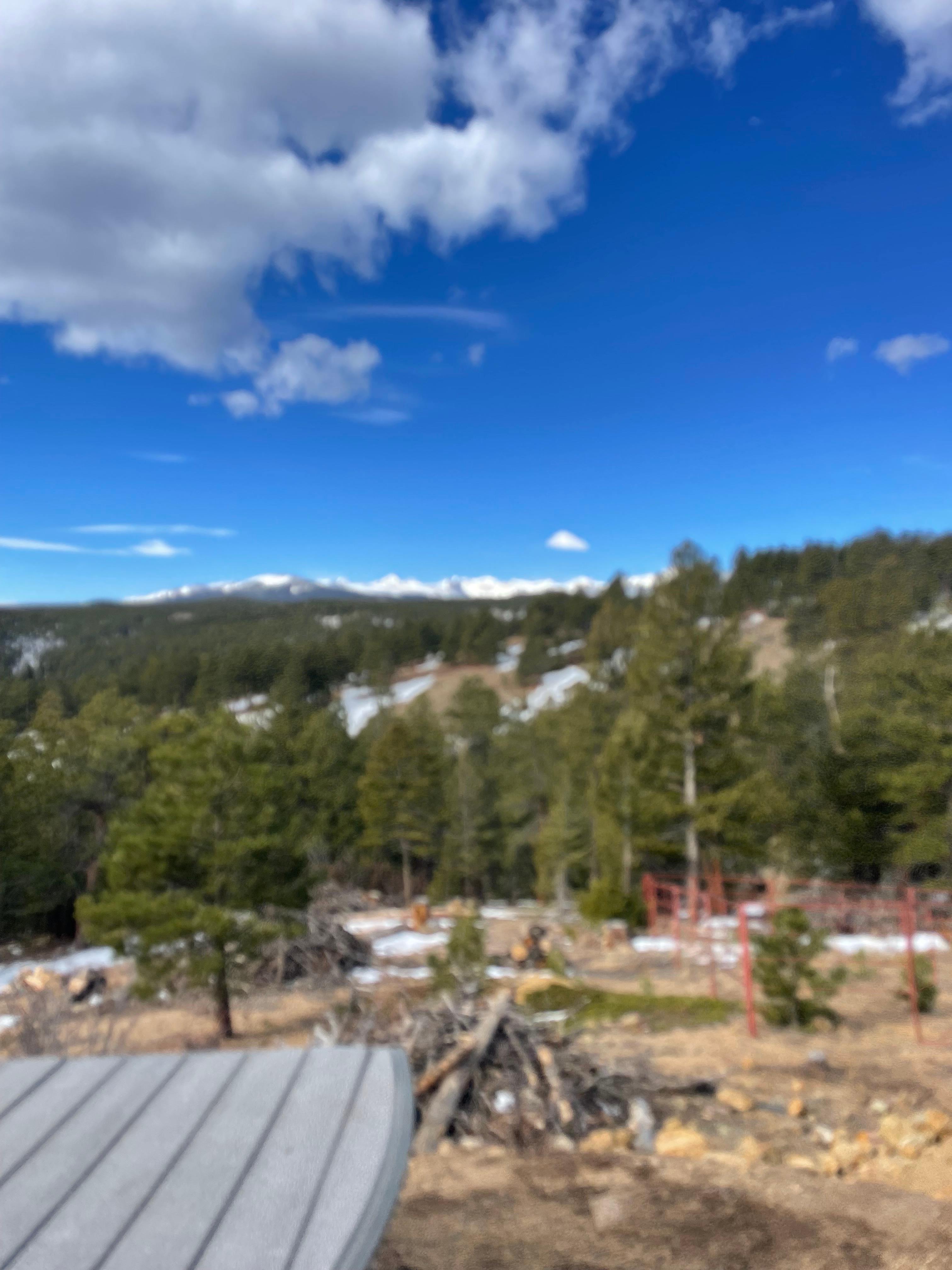 The Bluebear at Y Double-K Ranch