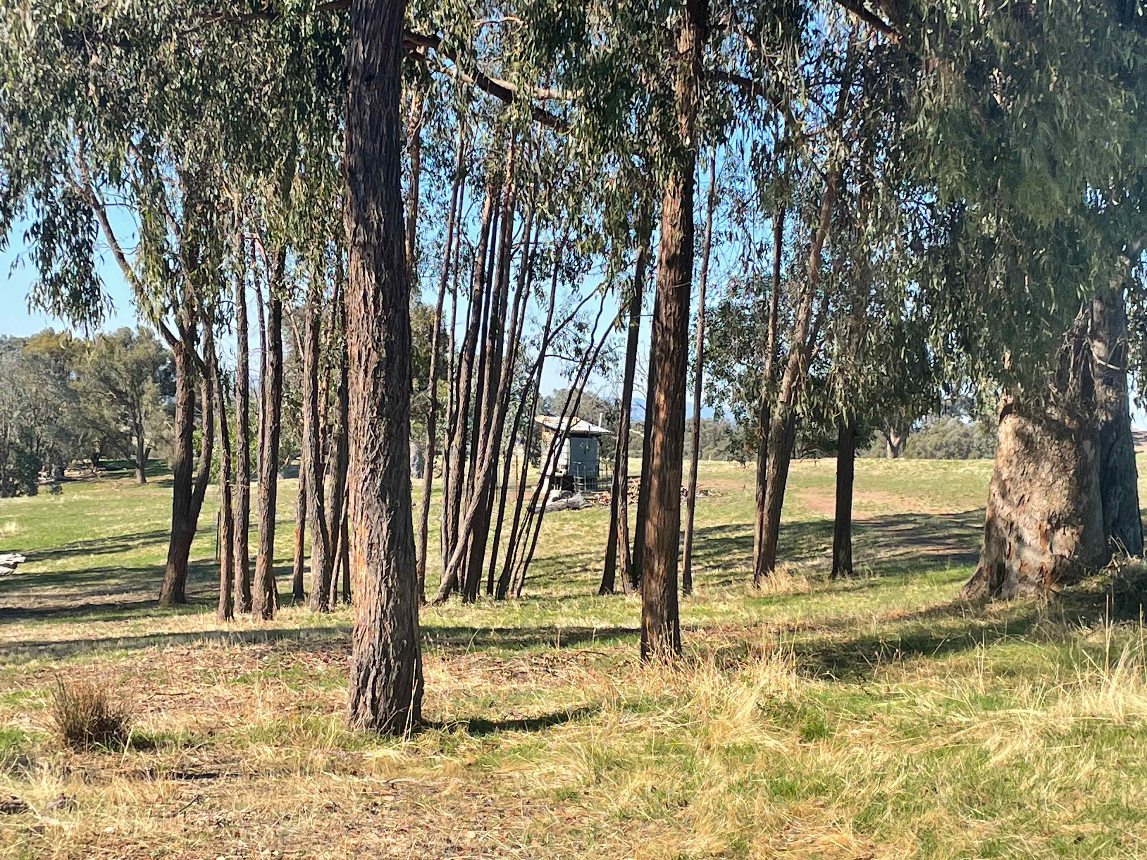 Thornbridge near Wineries, Lakes