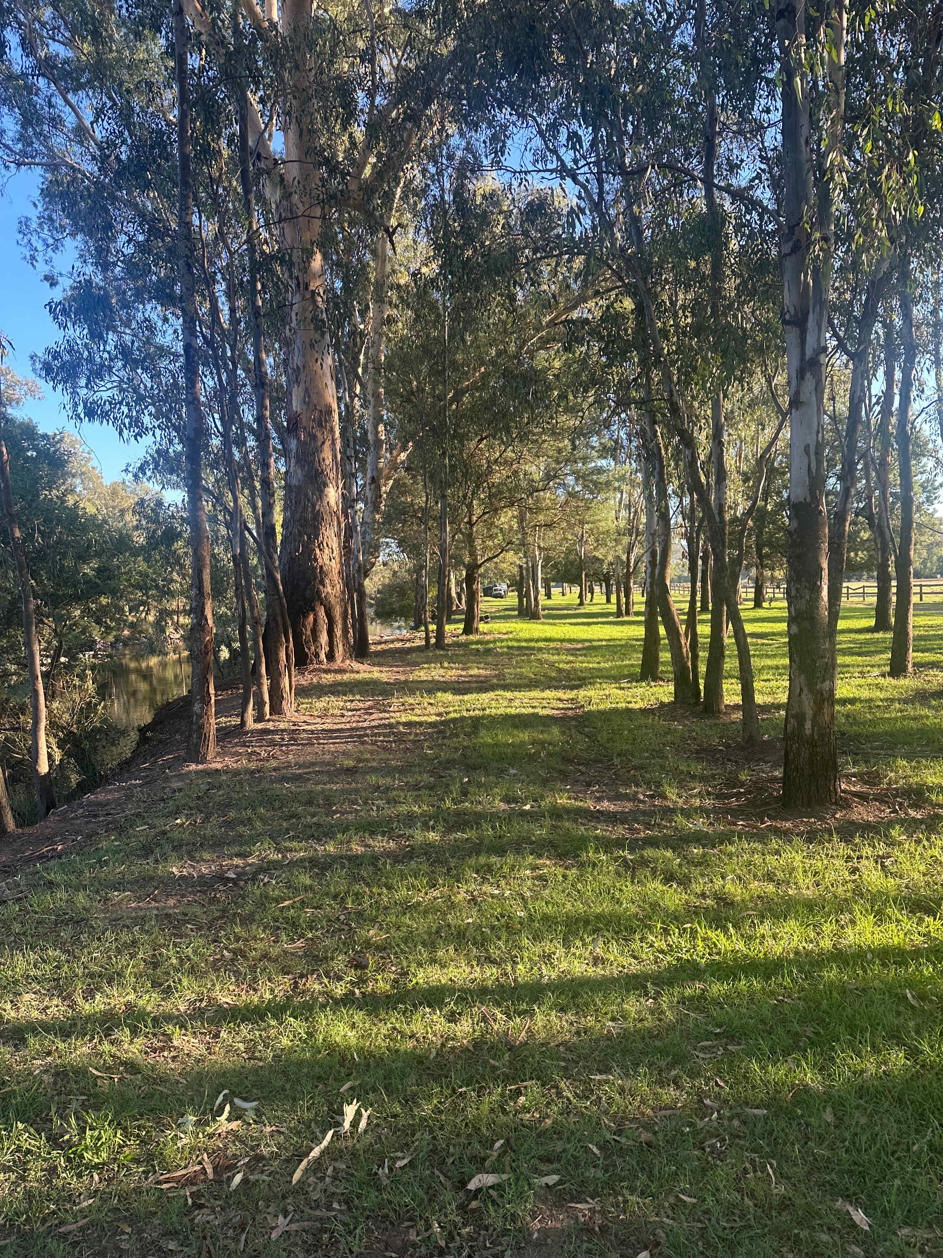 Bahwidgee on Tumut River