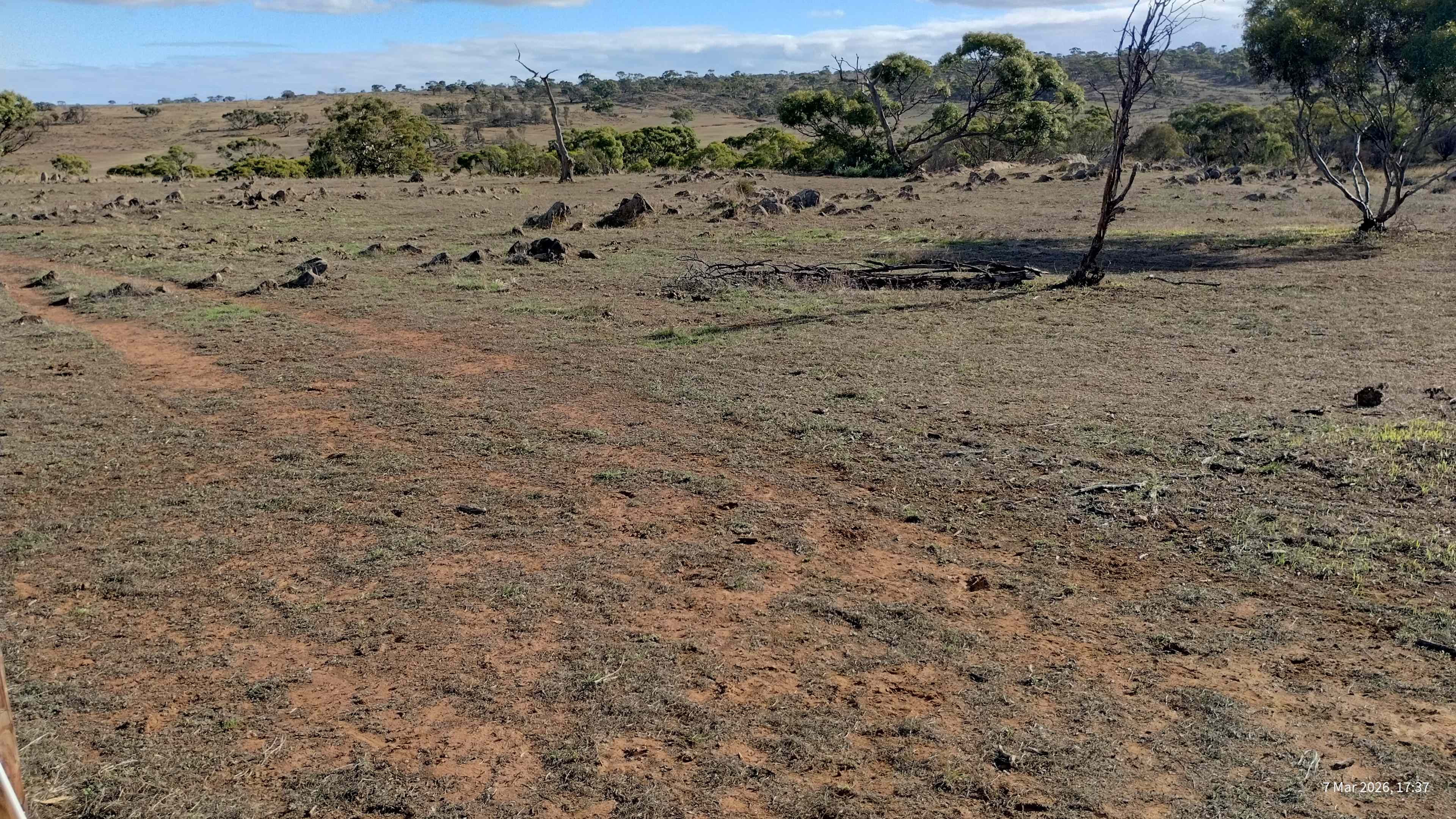 Harry’s Rockleigh Bush Camp
