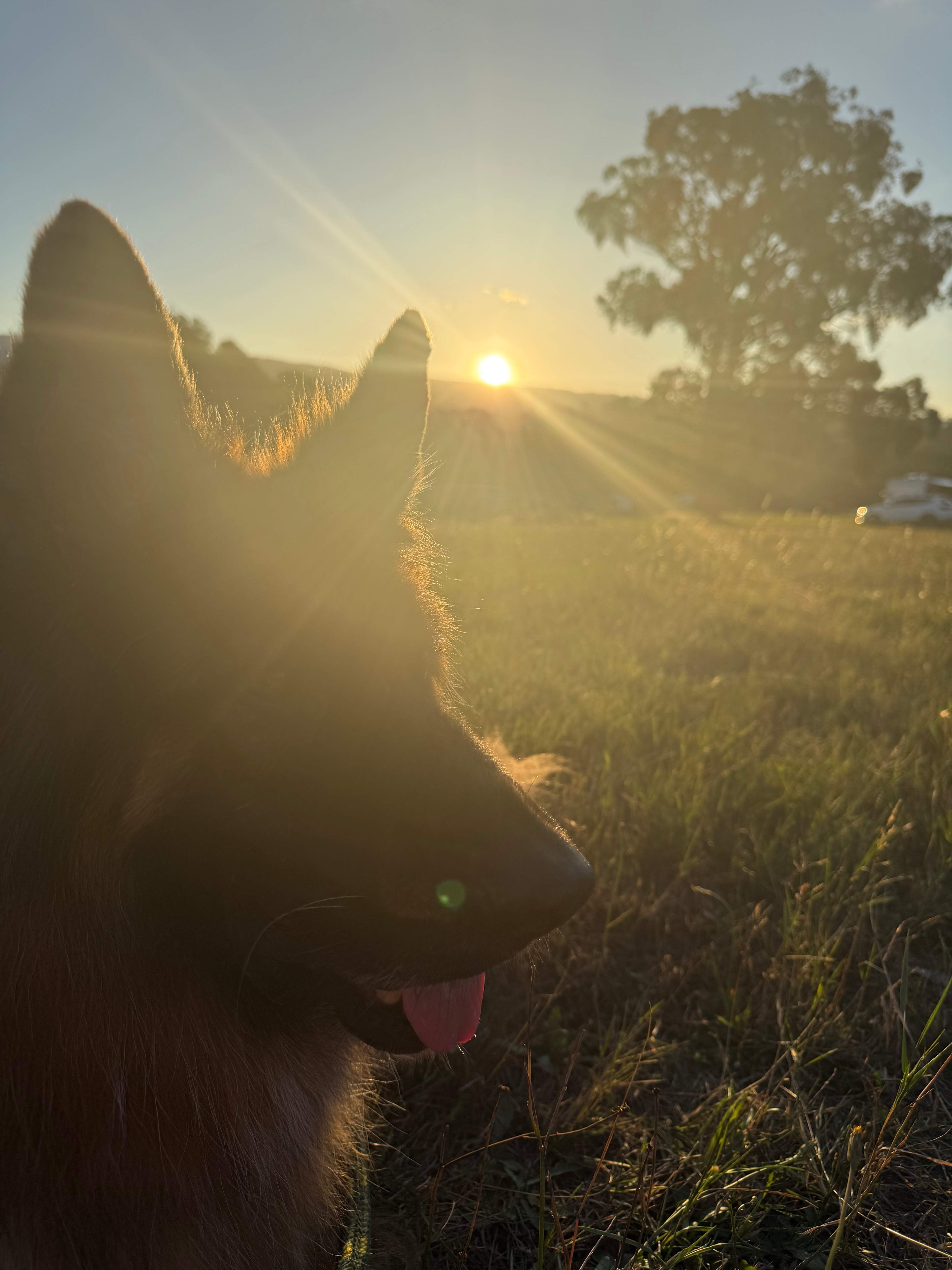 Sunset was enjoyed by all