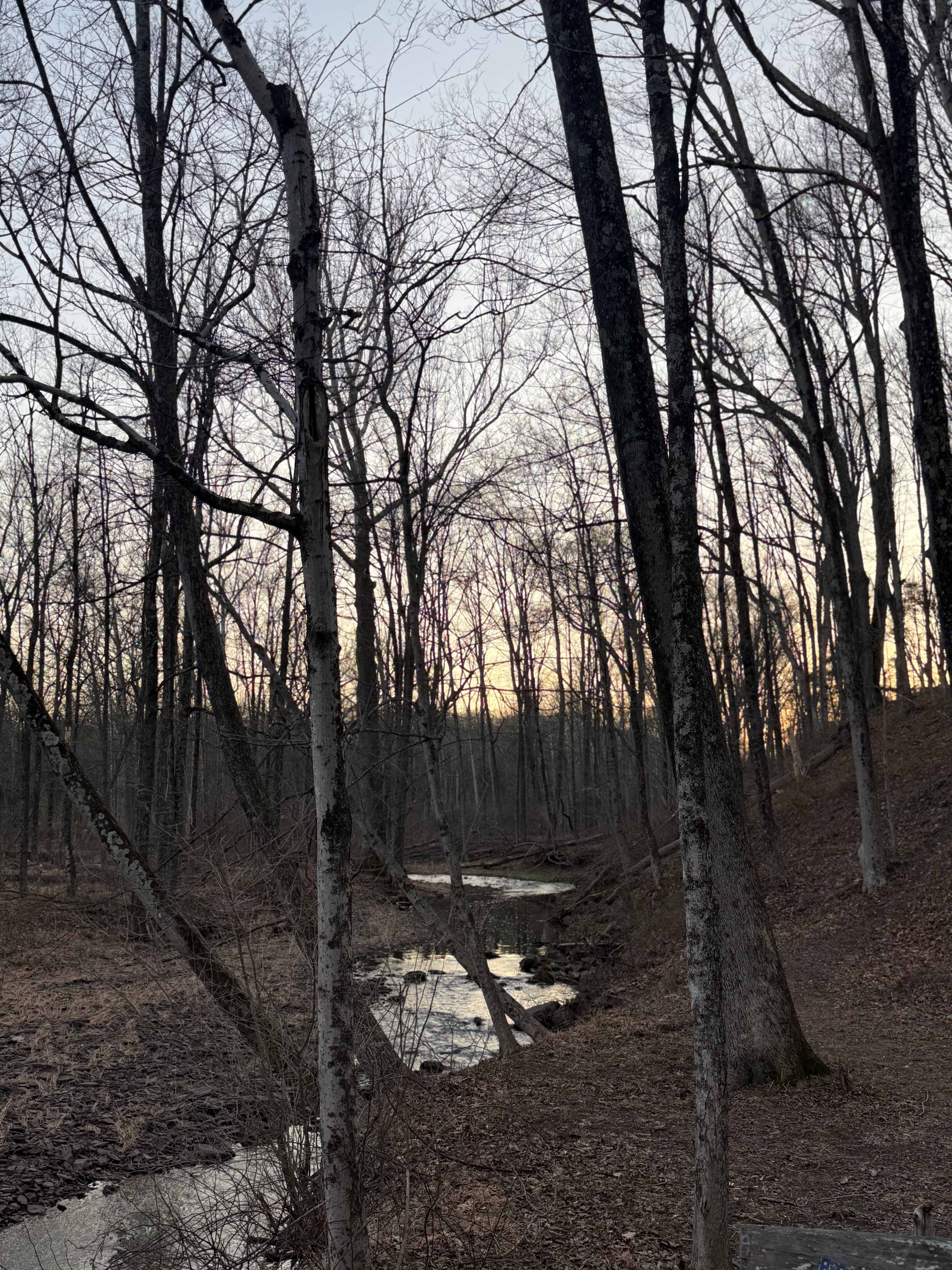 Grampy's Red Rock Rabbit Ranch