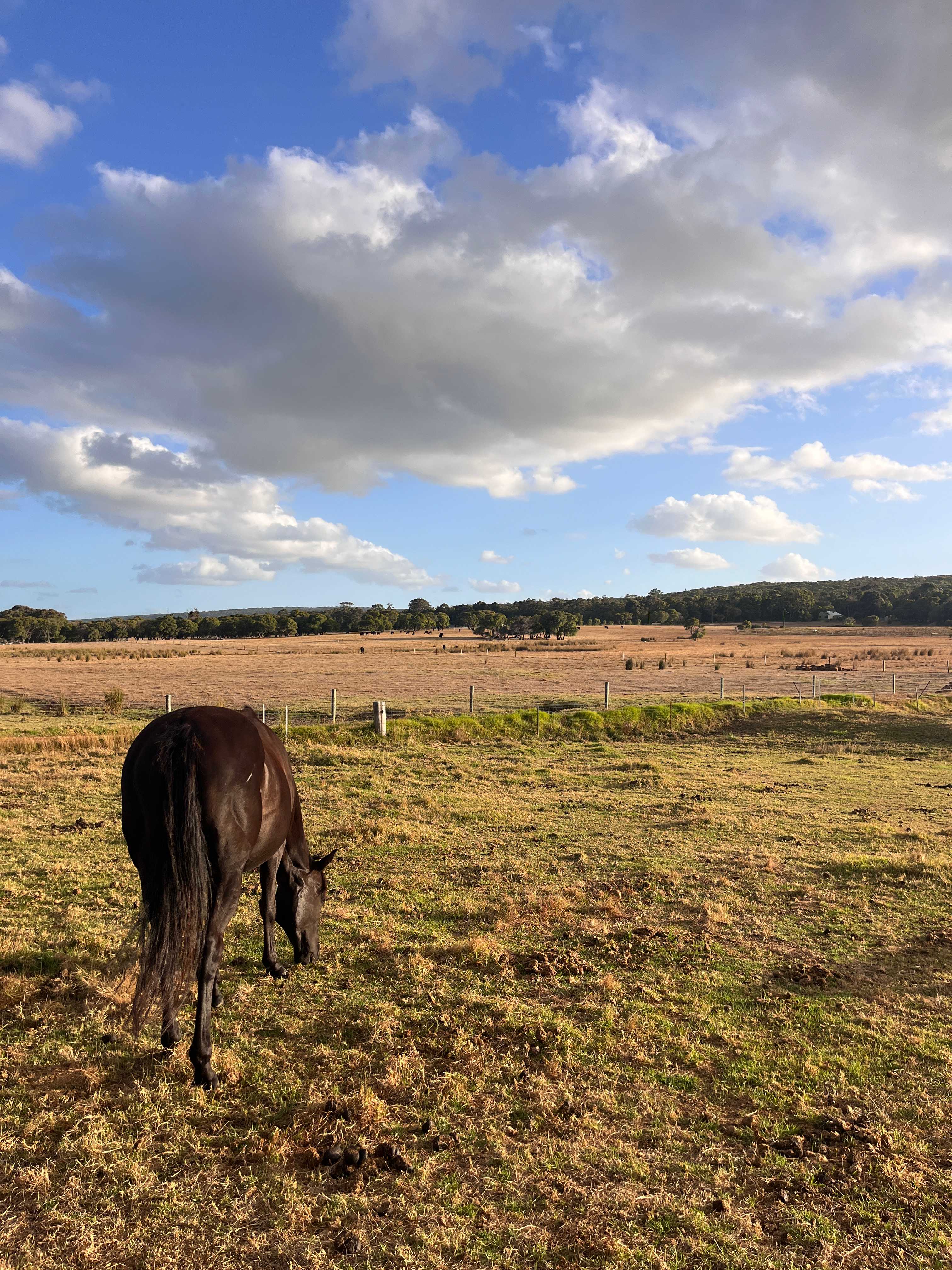 Grass Roots Deepdene