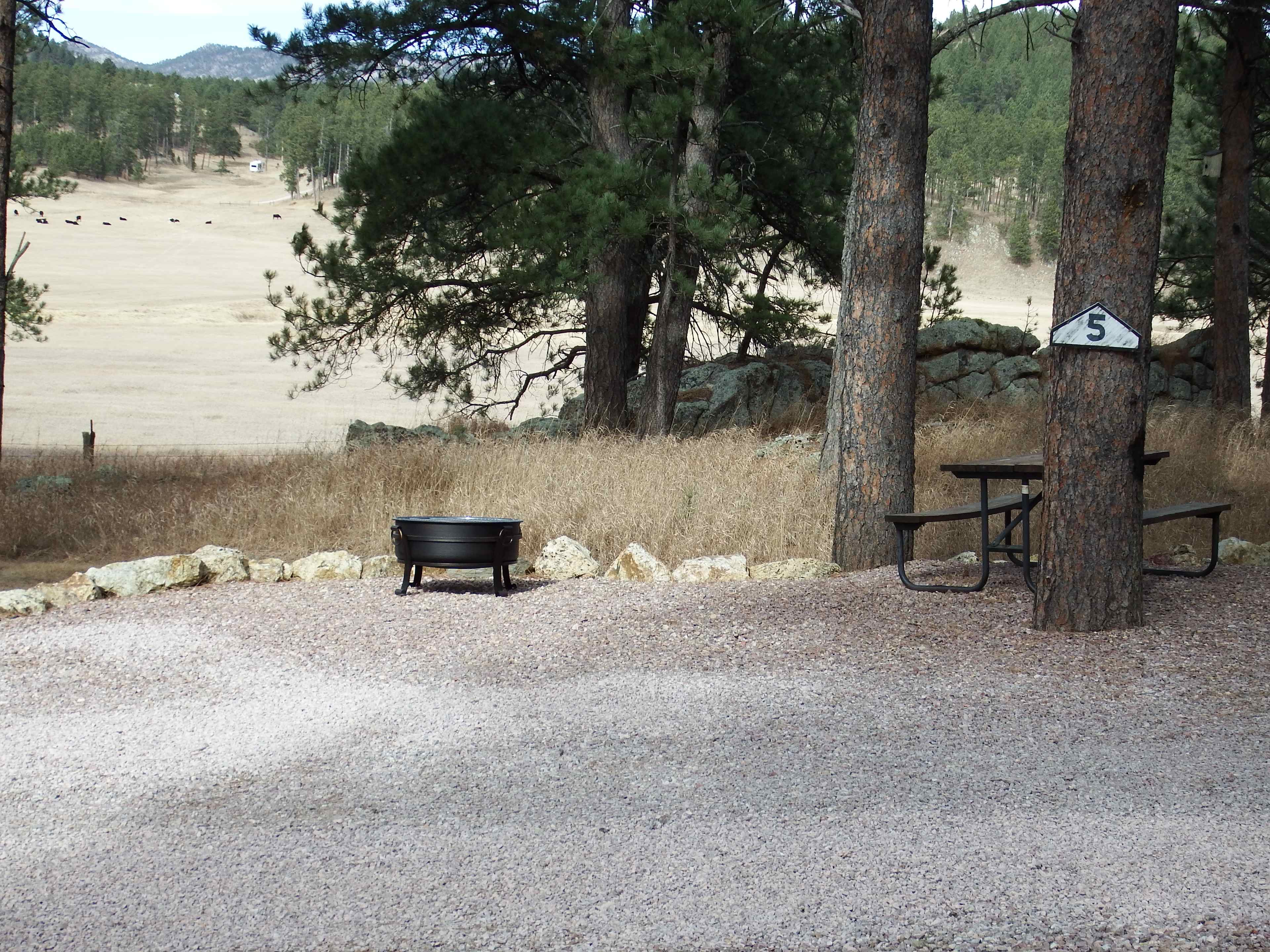 Picture of the site