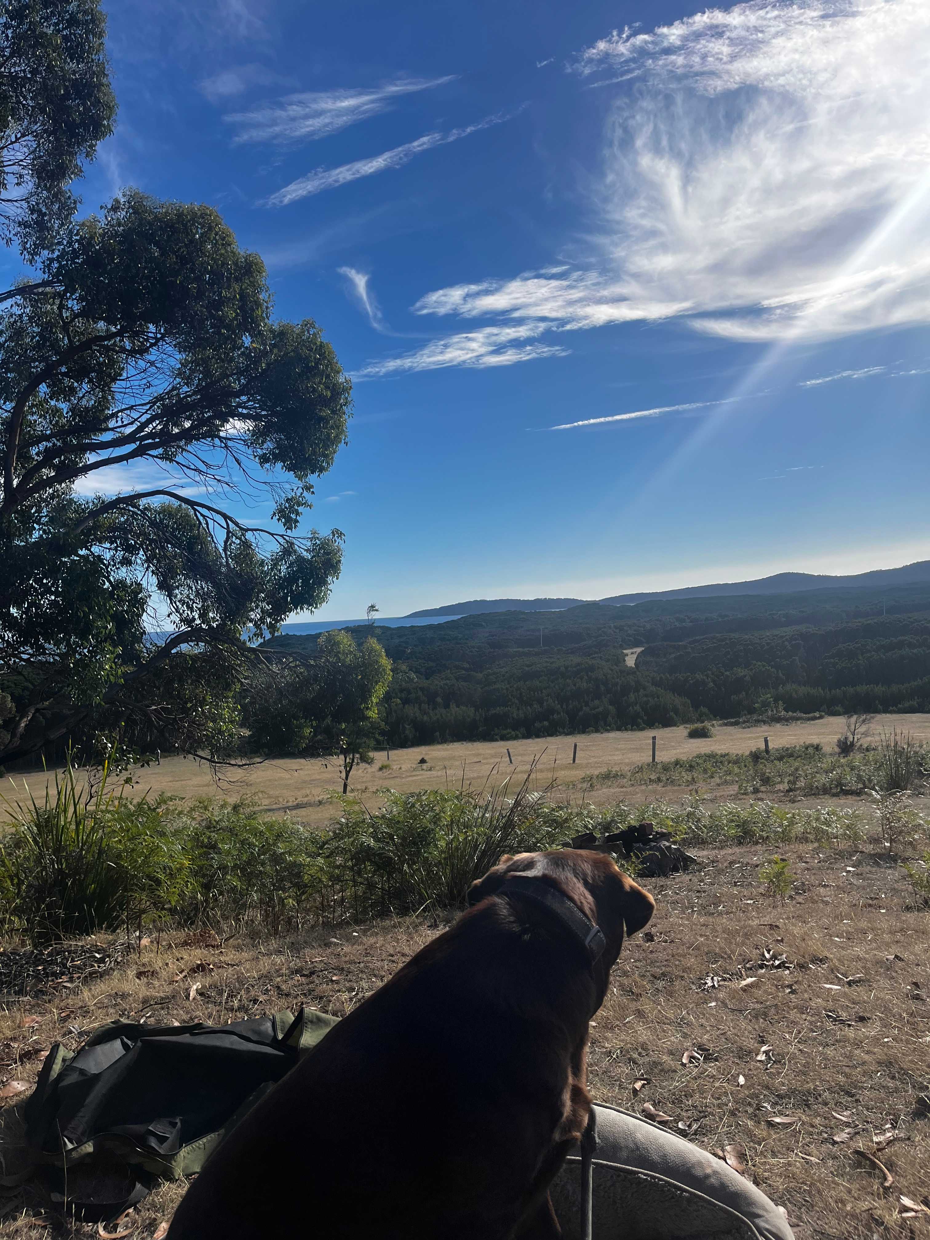 Graham enjoying the view 