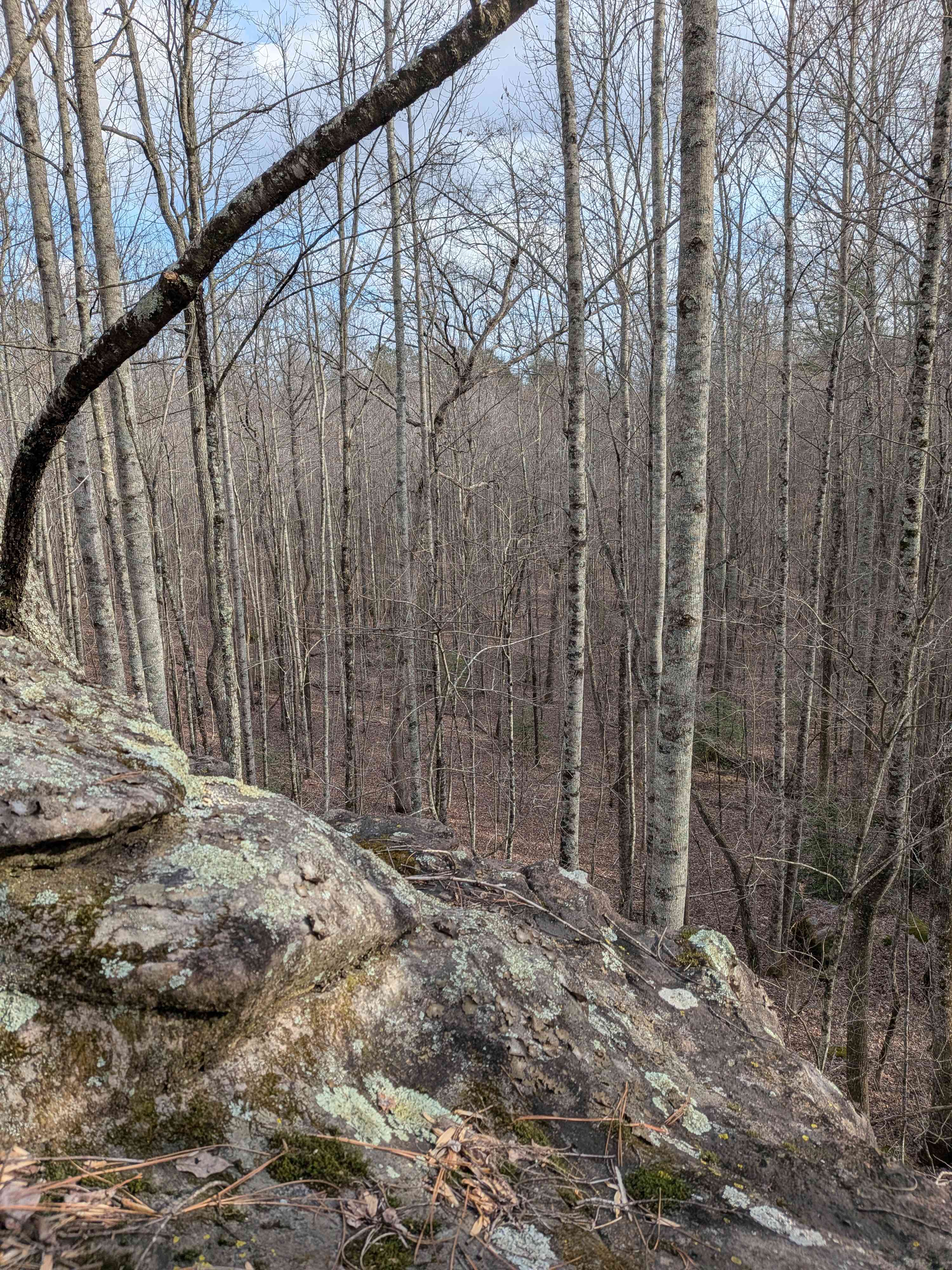 The Private Reserve Cabin + RV Pad