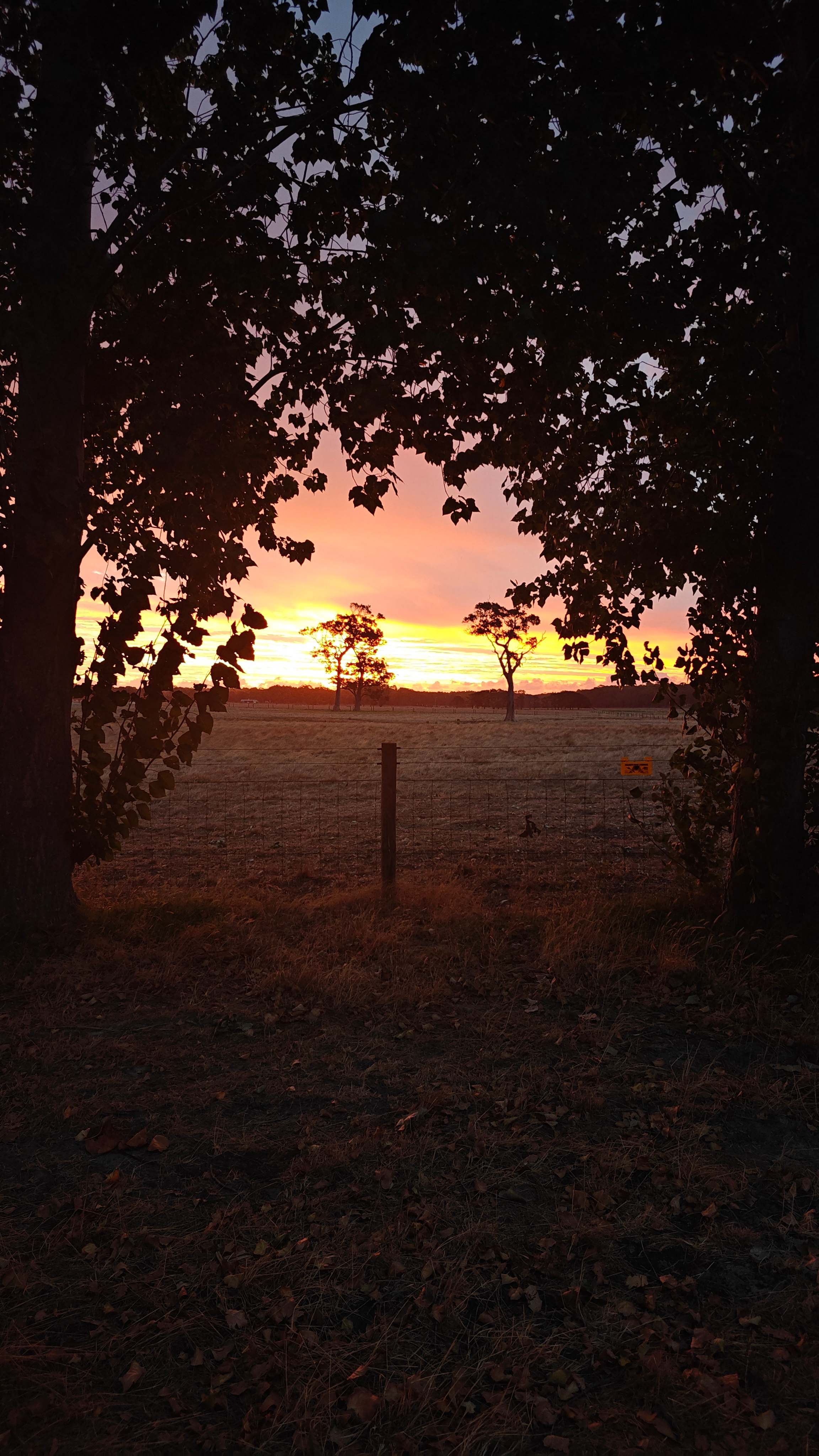 Jarvis Estate Winery & Camping