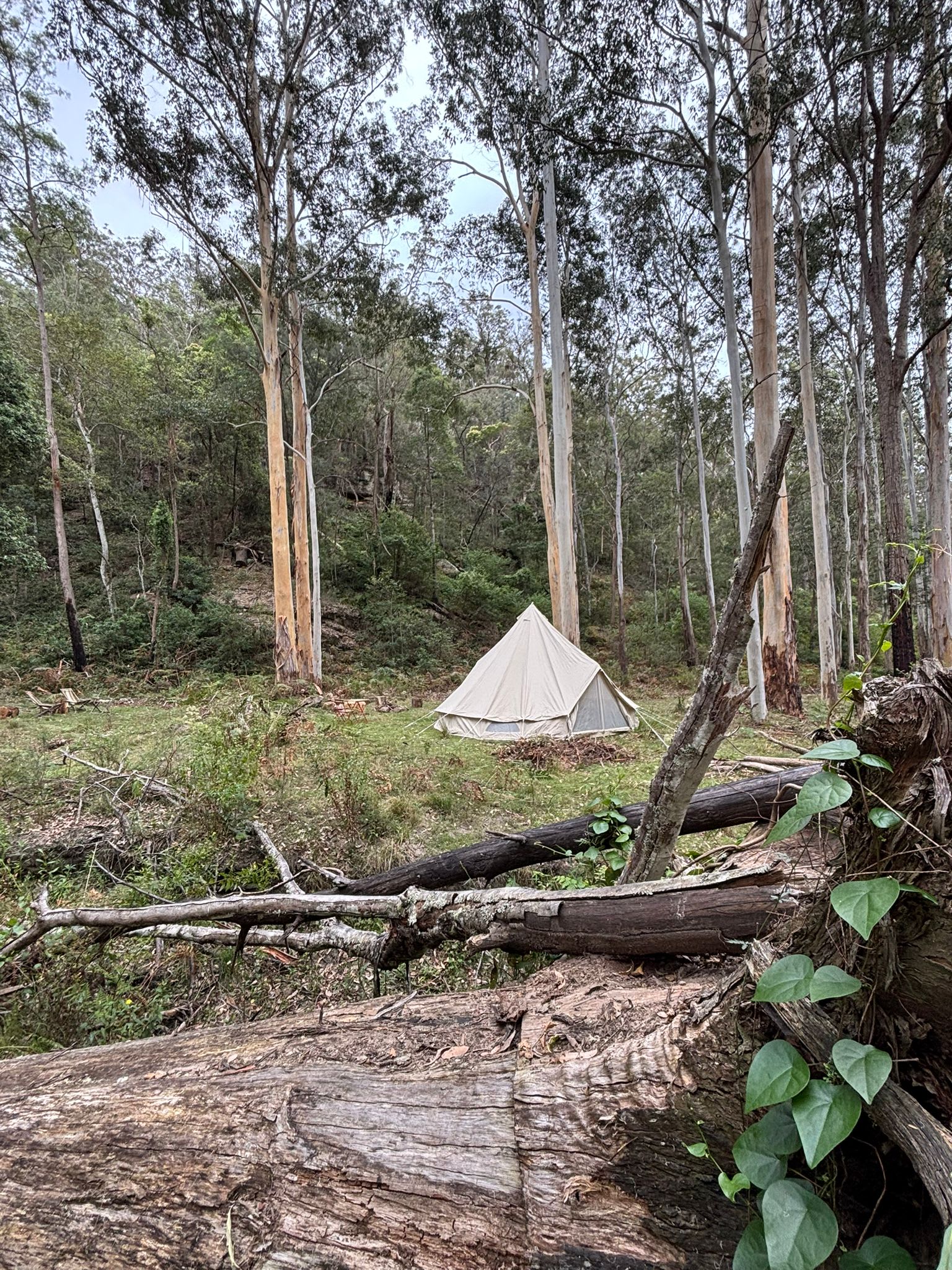 Picture of the site