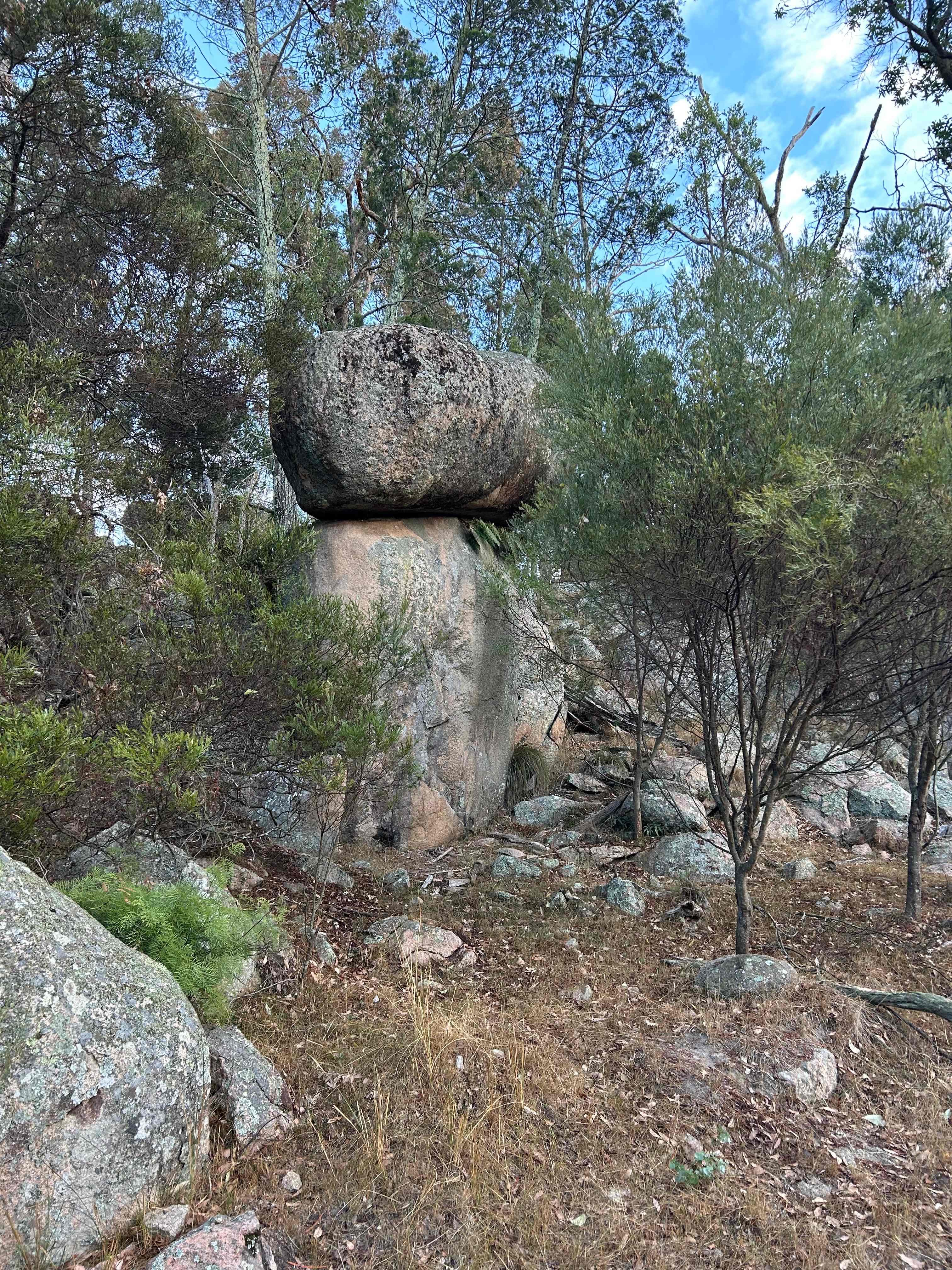 Great walks through the property