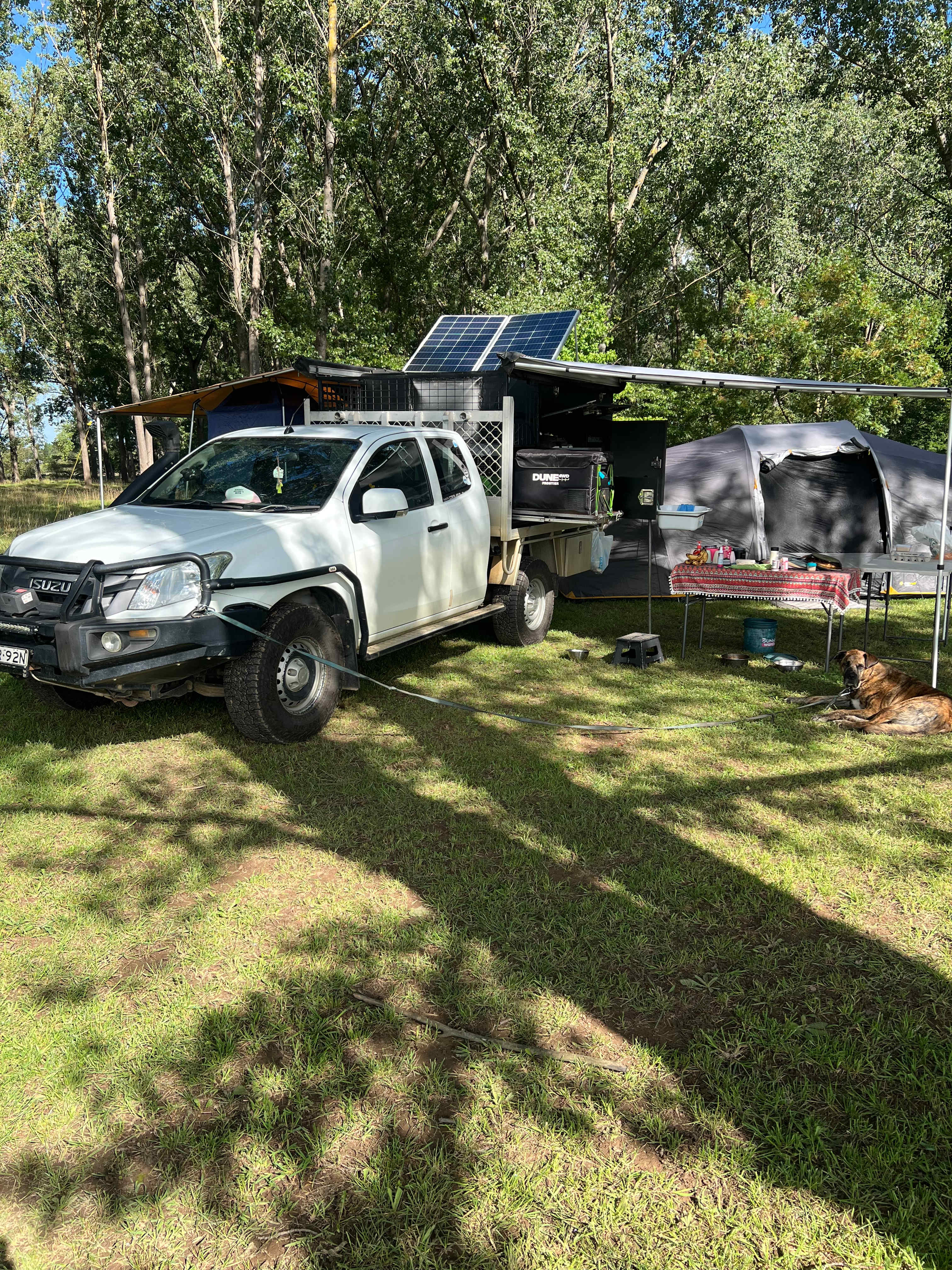 Wings of the Carribee