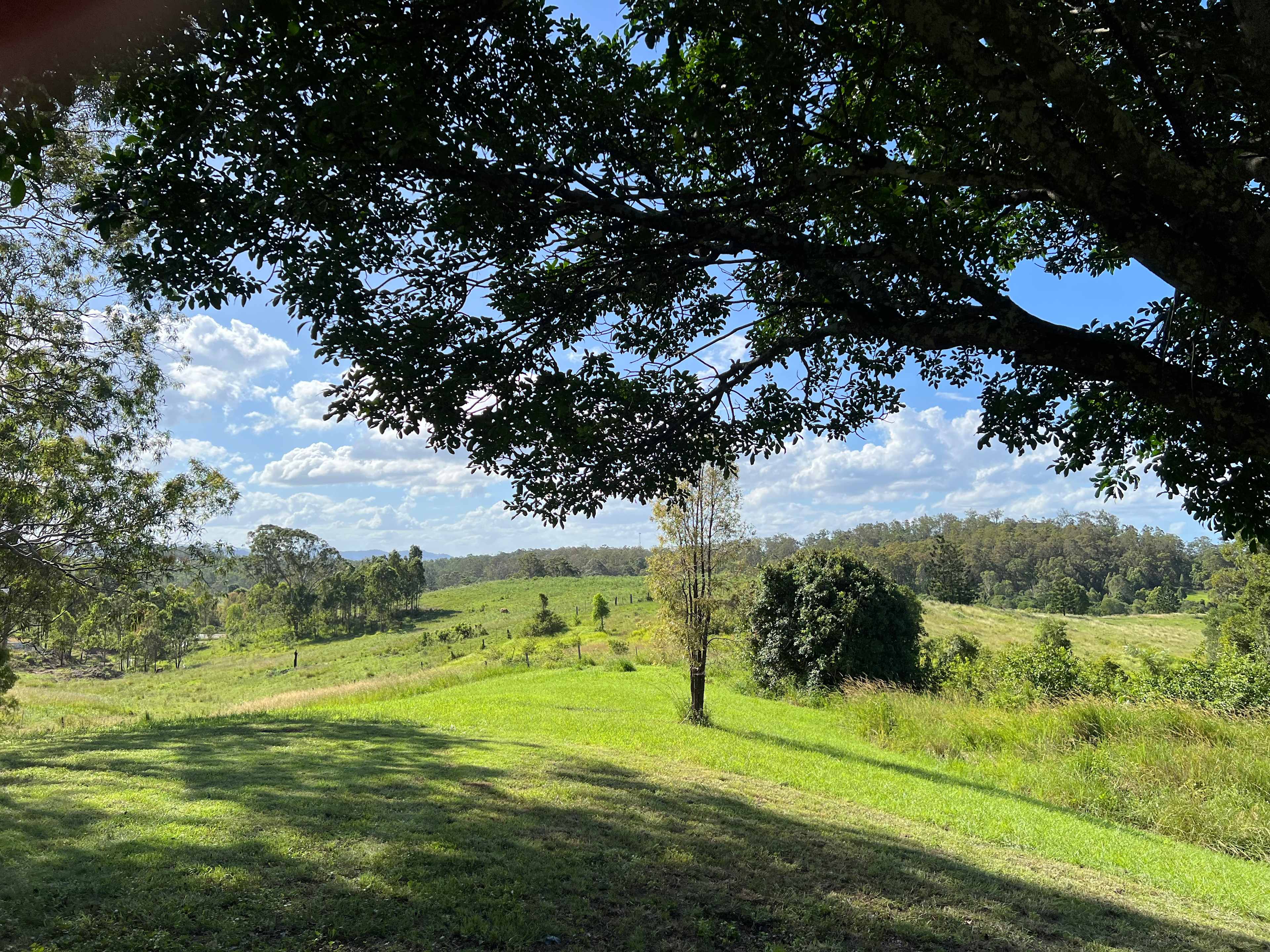 Jacaranda Ridge