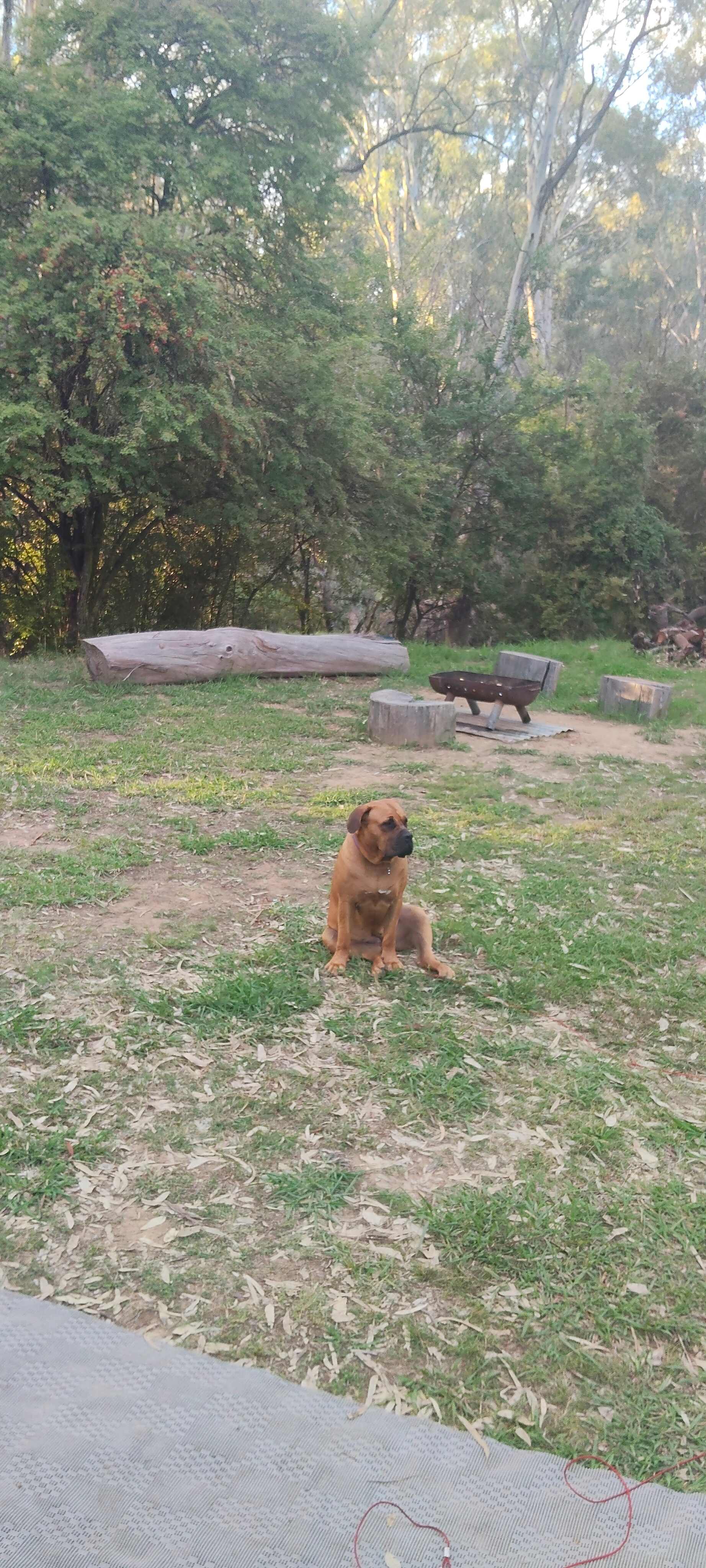 Billabong Flats Farm