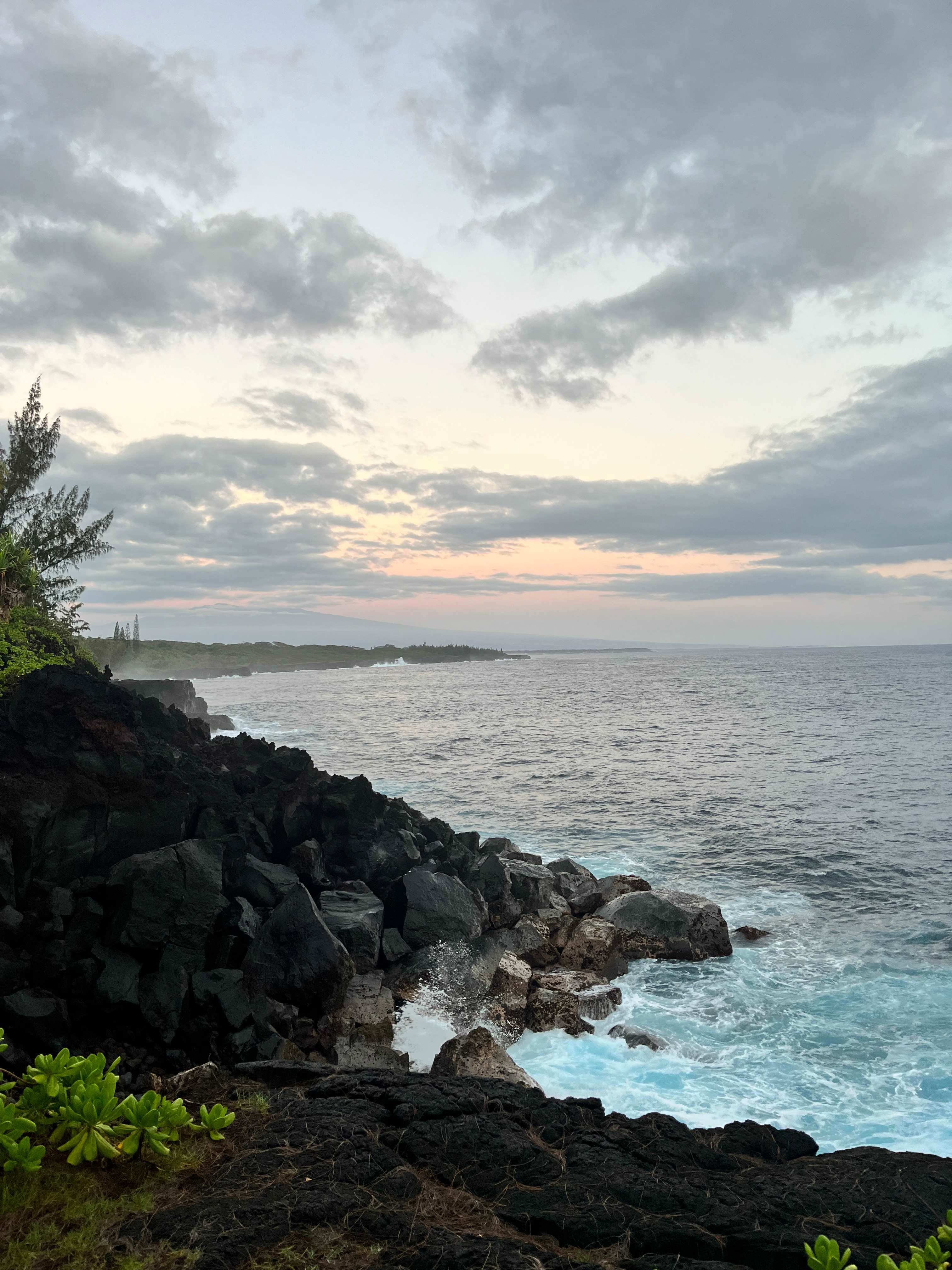 Wild Blue Water Ranch