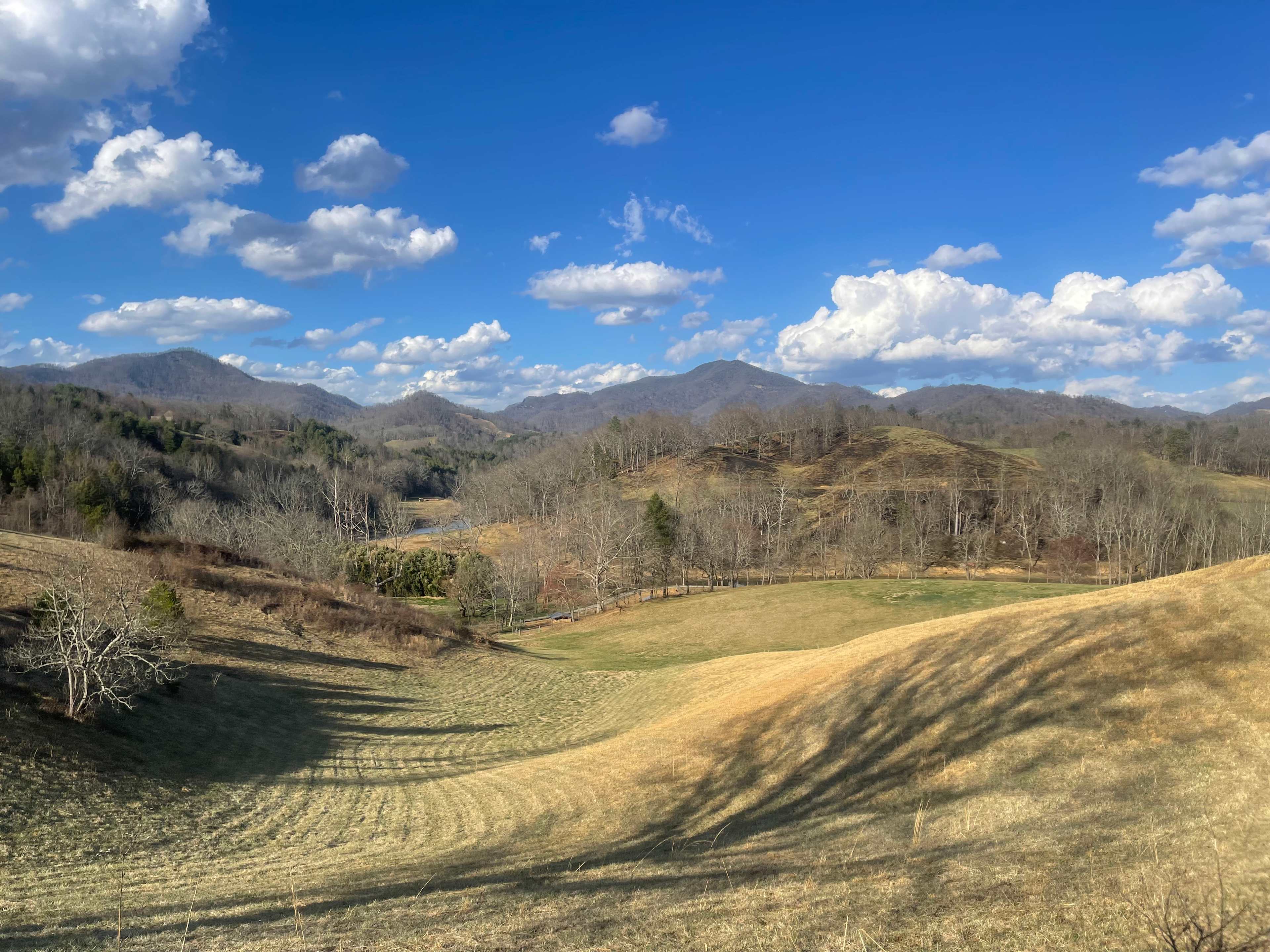 Smoky Mtn Mangalitsa River Ranch