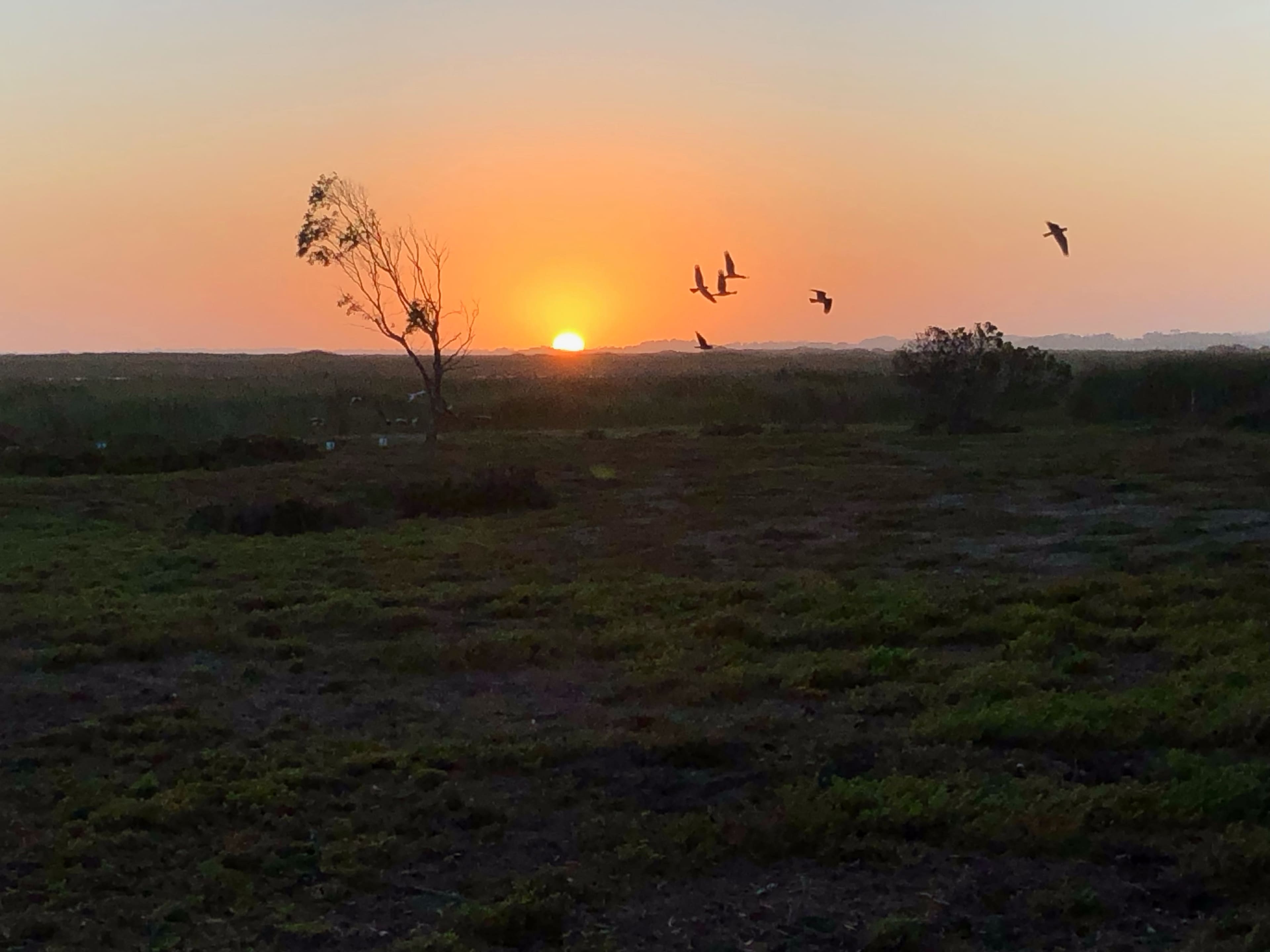 Sunrise over the creek and dunes
