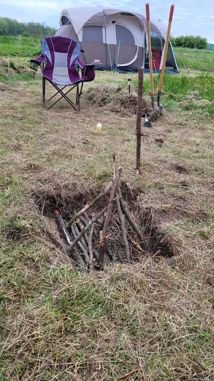 Picture of the site
