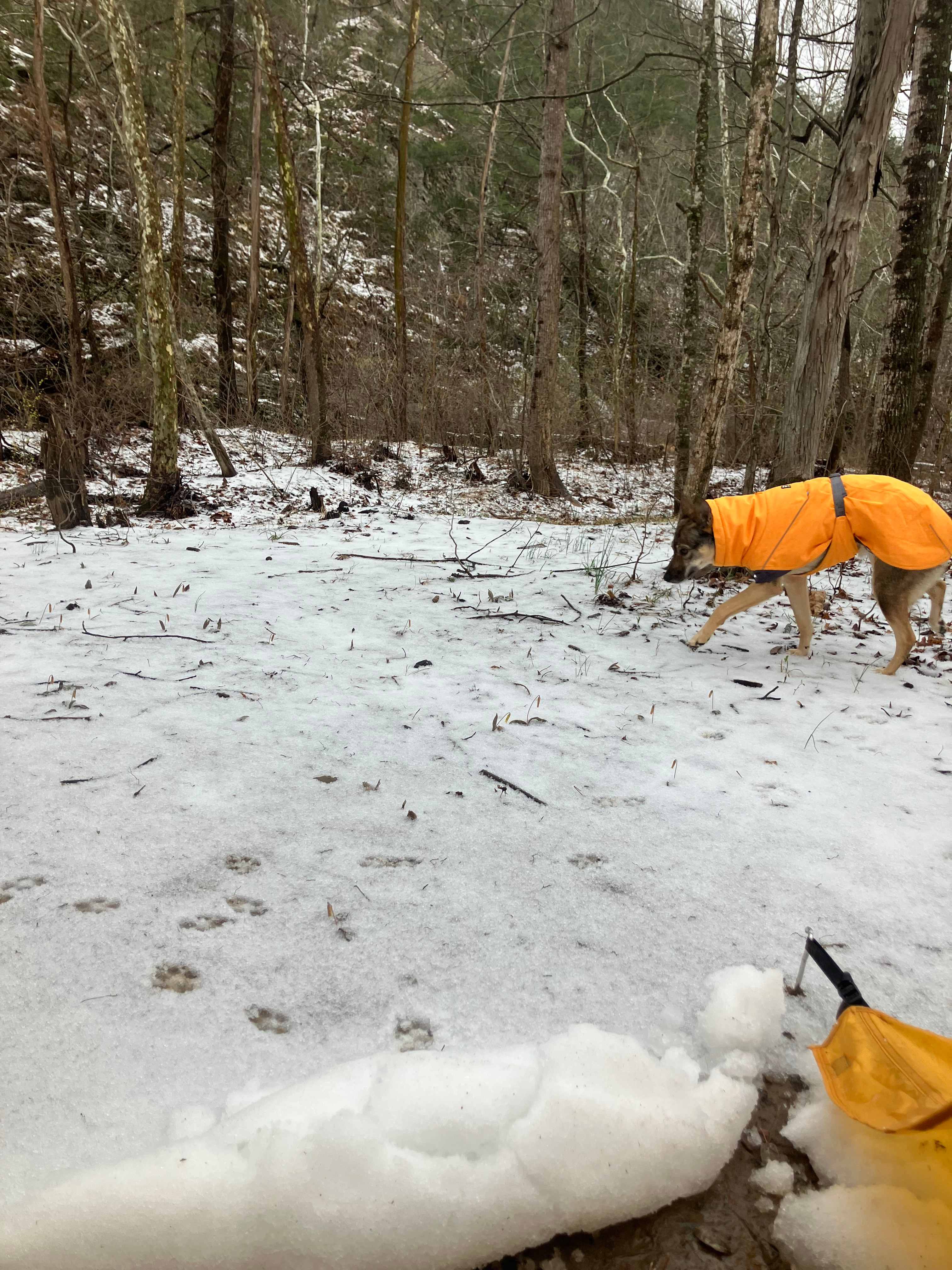 Savage Acres on Craig Creek