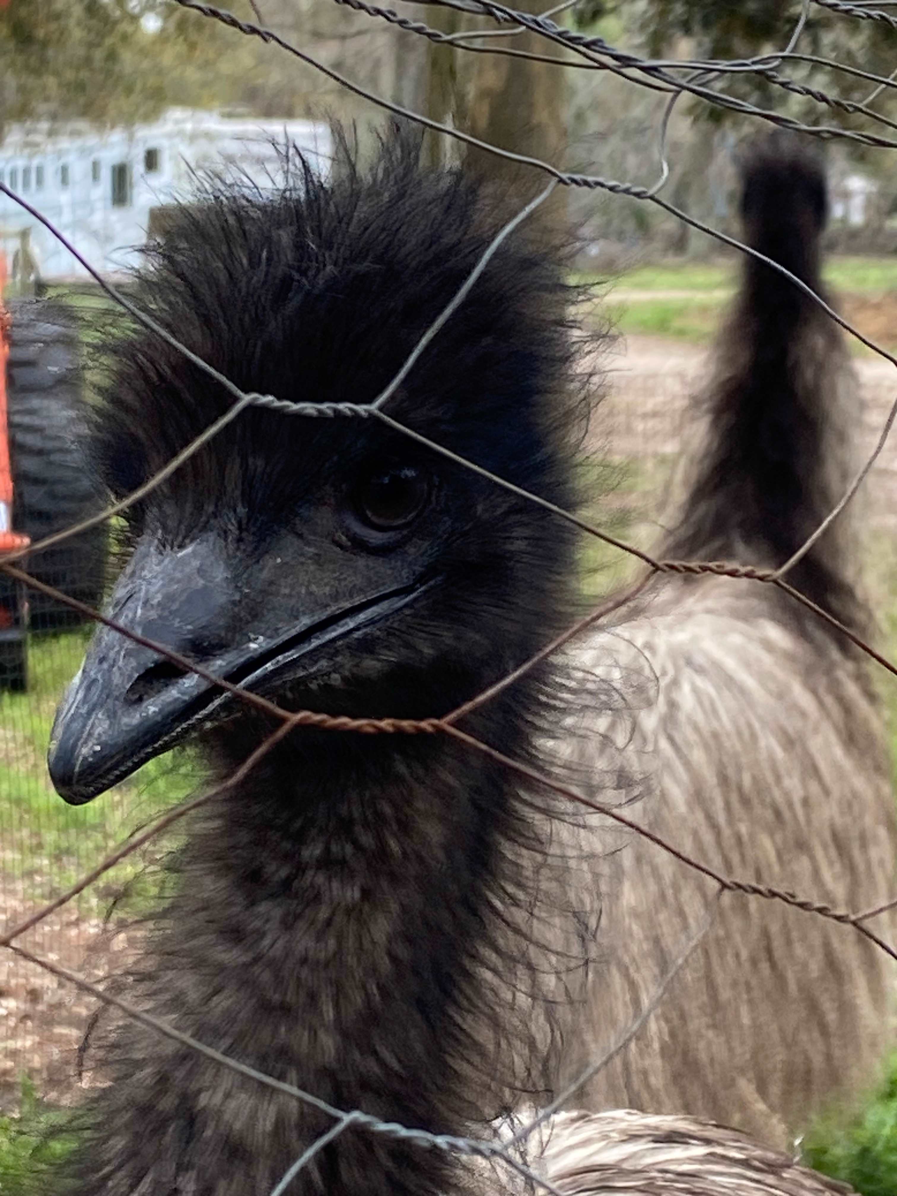 Bluewater Horse Ranch