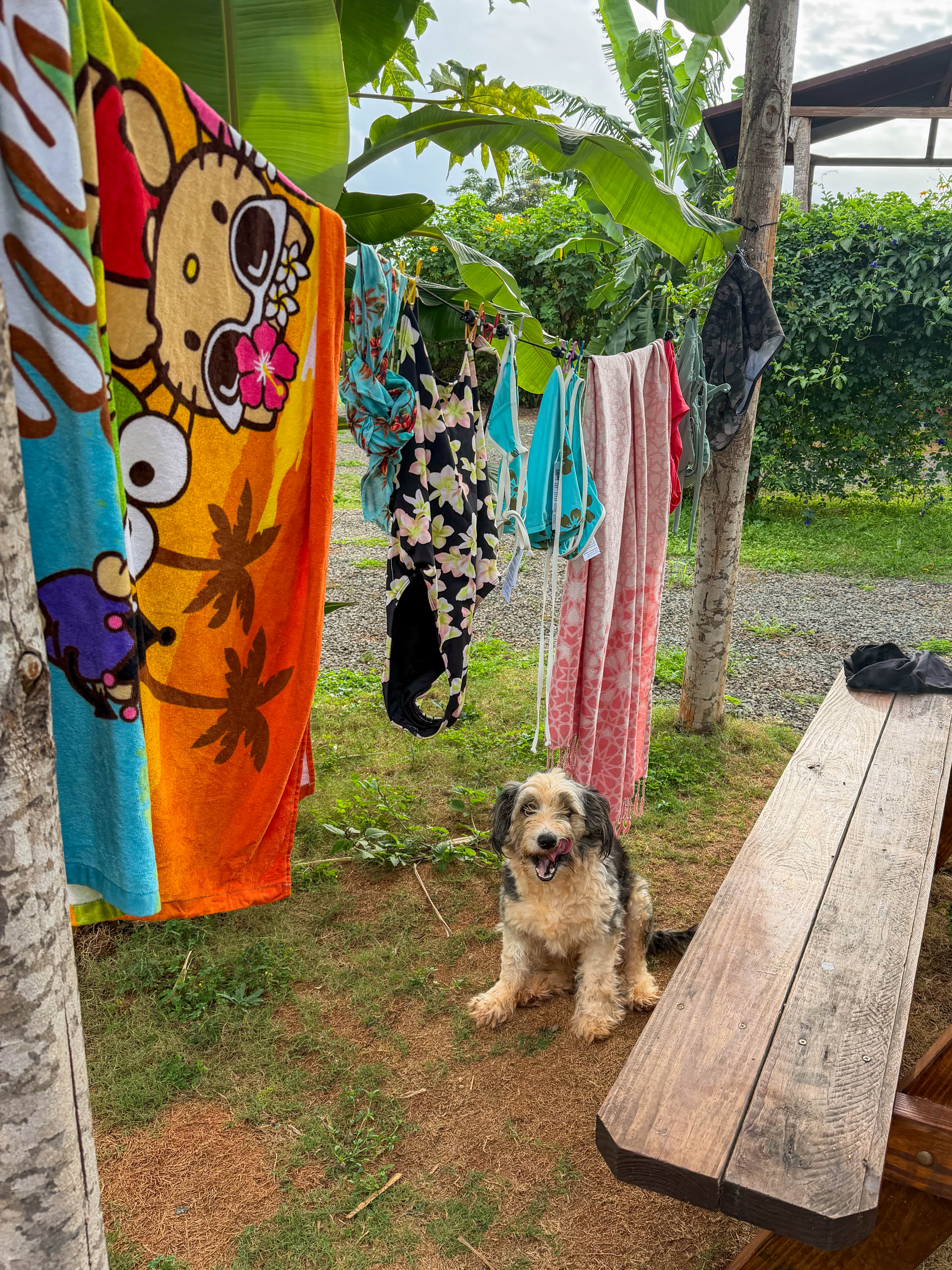 Living Circle Farms Hawaii