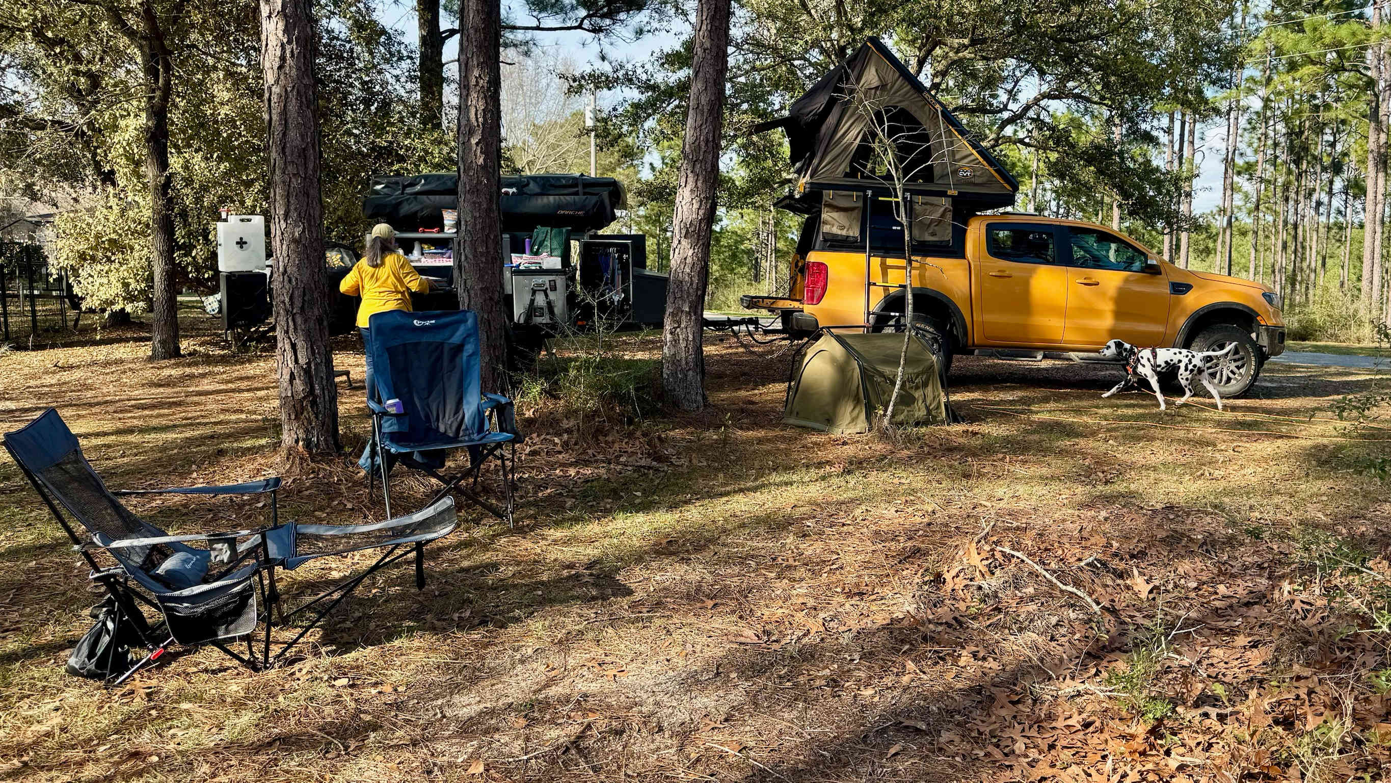 Heart of the Country