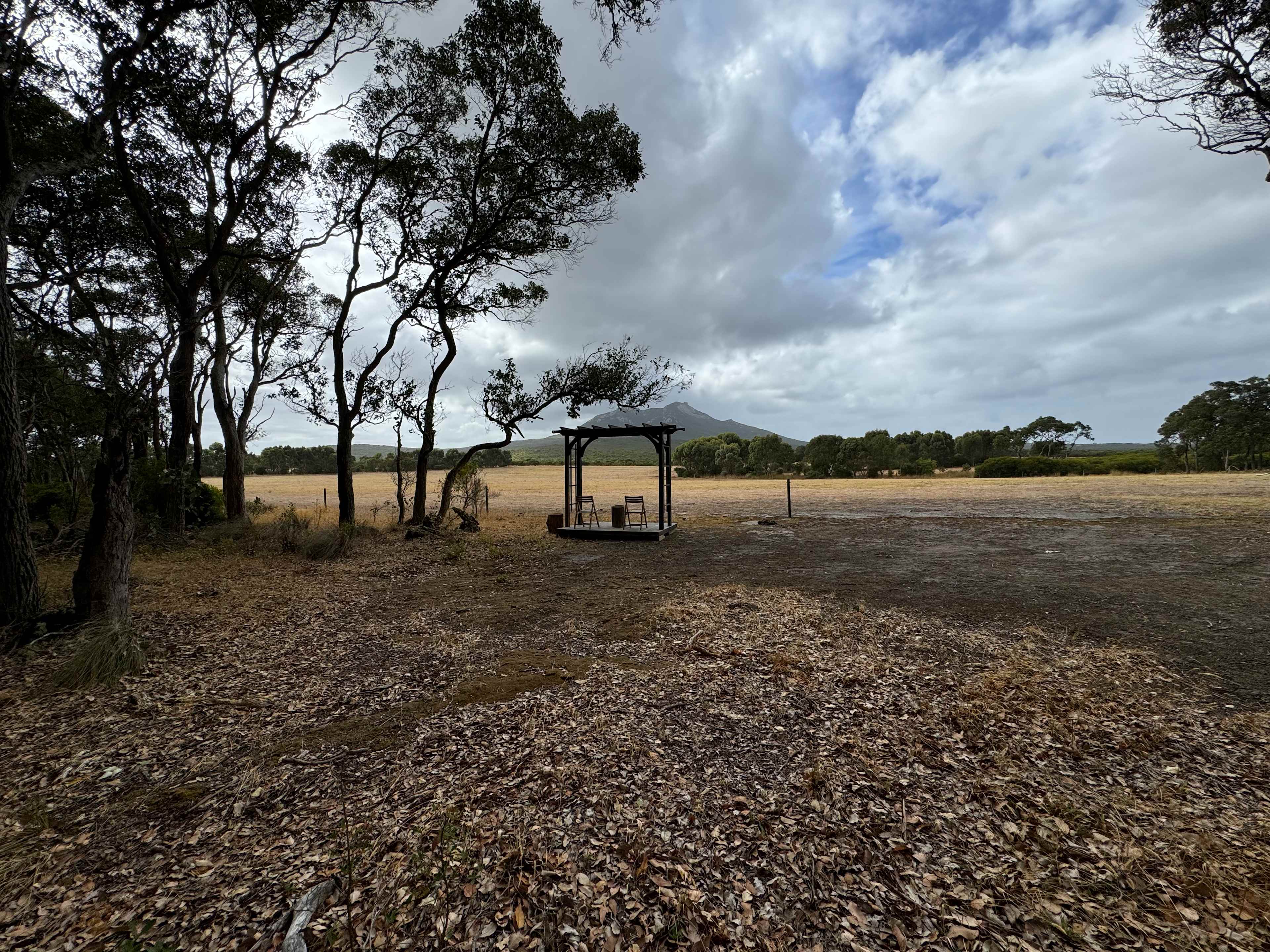 Picture of the site