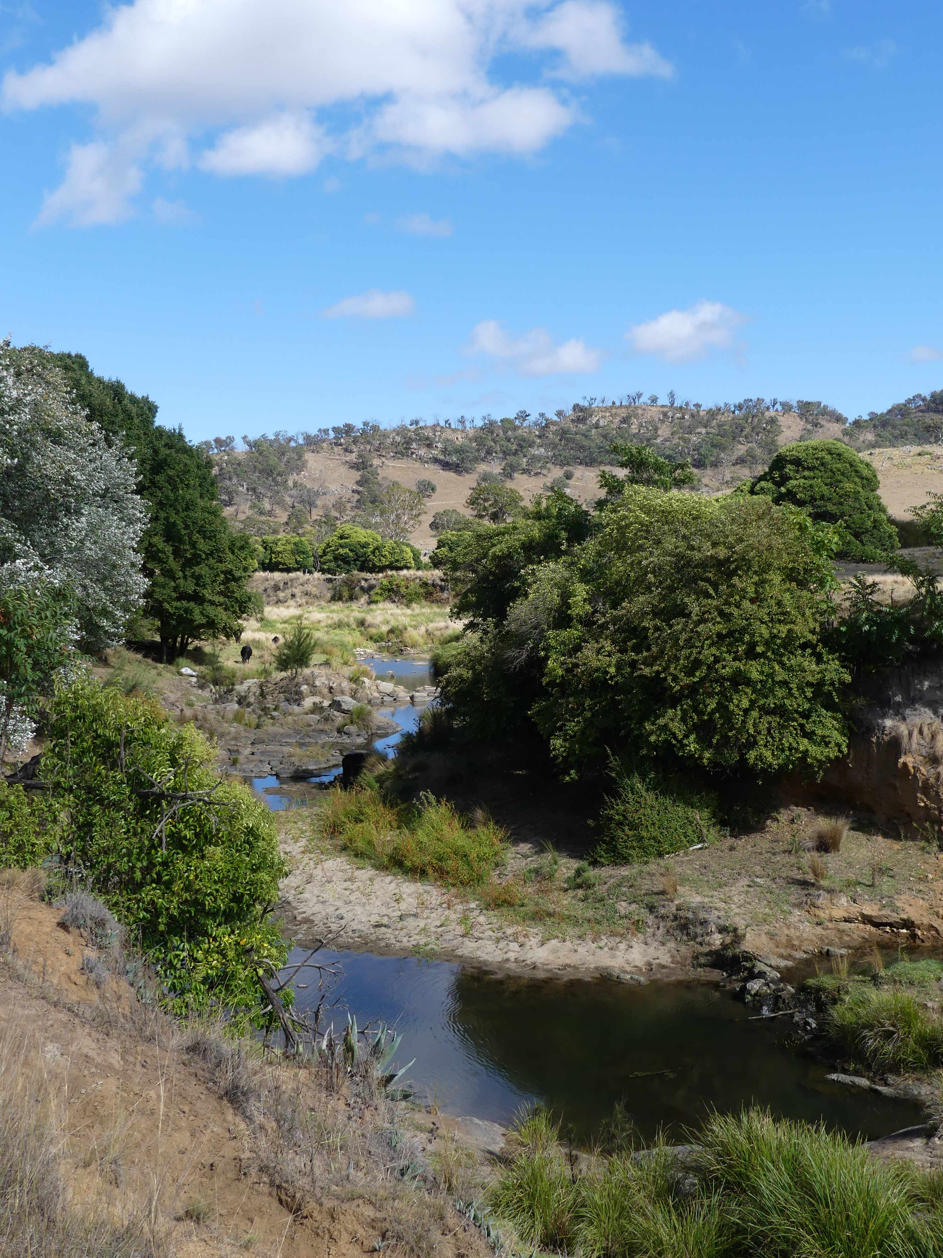 Eden Vale Shearing Shed Camp