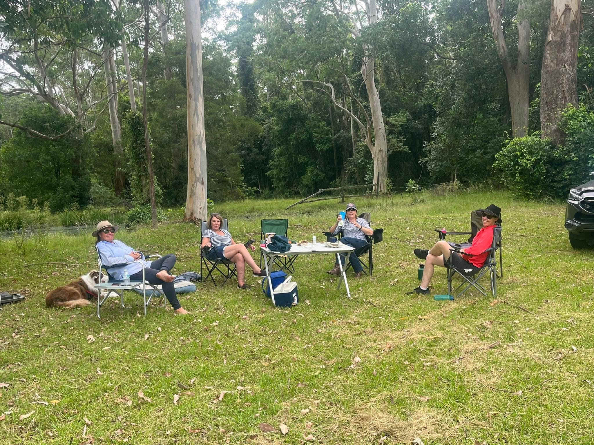 Bella Park - Camp and Horse Stay