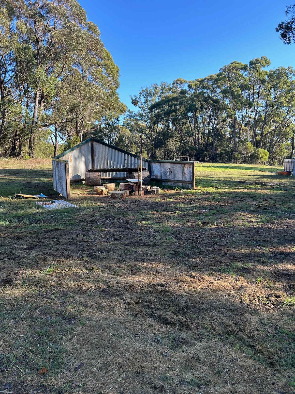 Old Forty Pumpkin Farm
