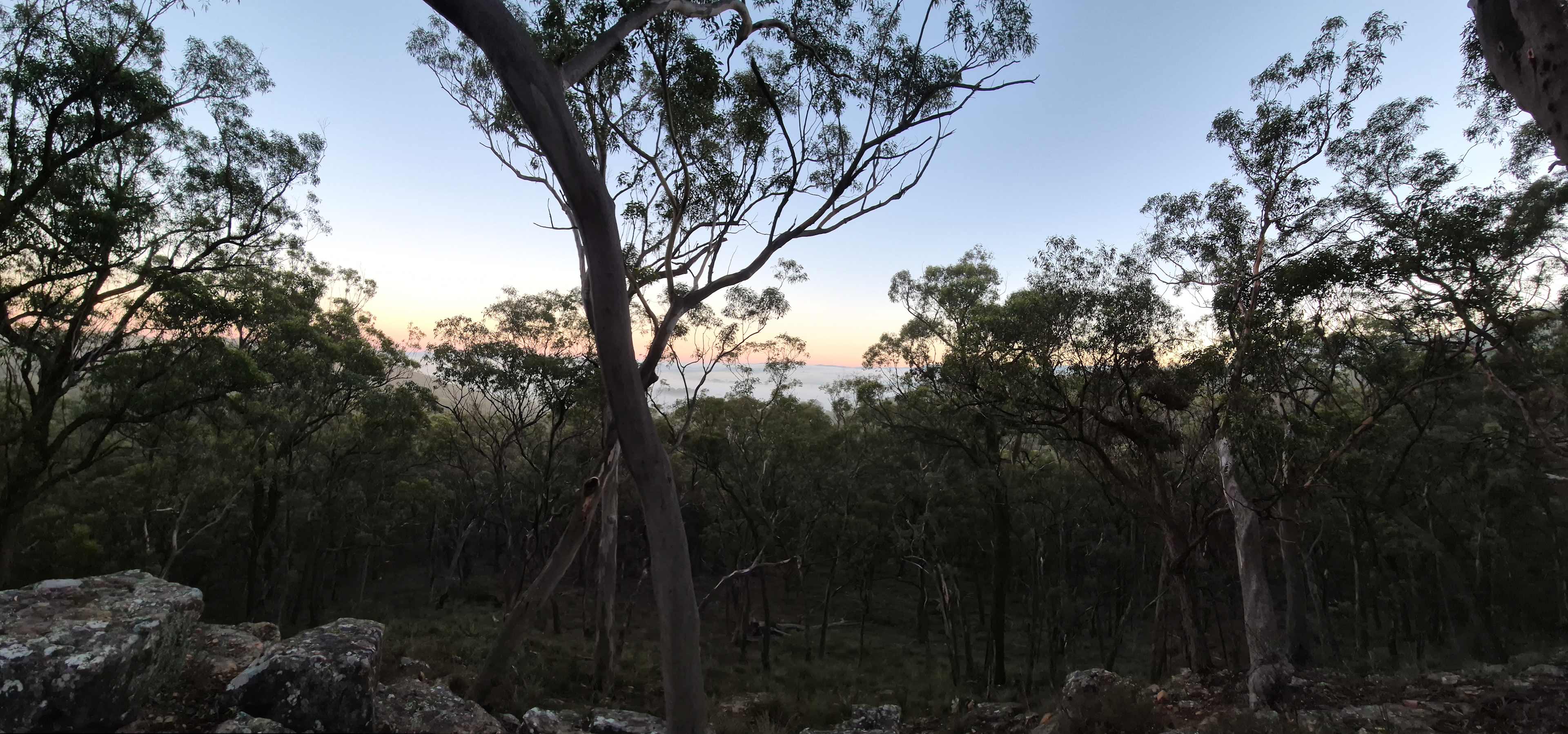 Wildwoods - Private bush surrounds