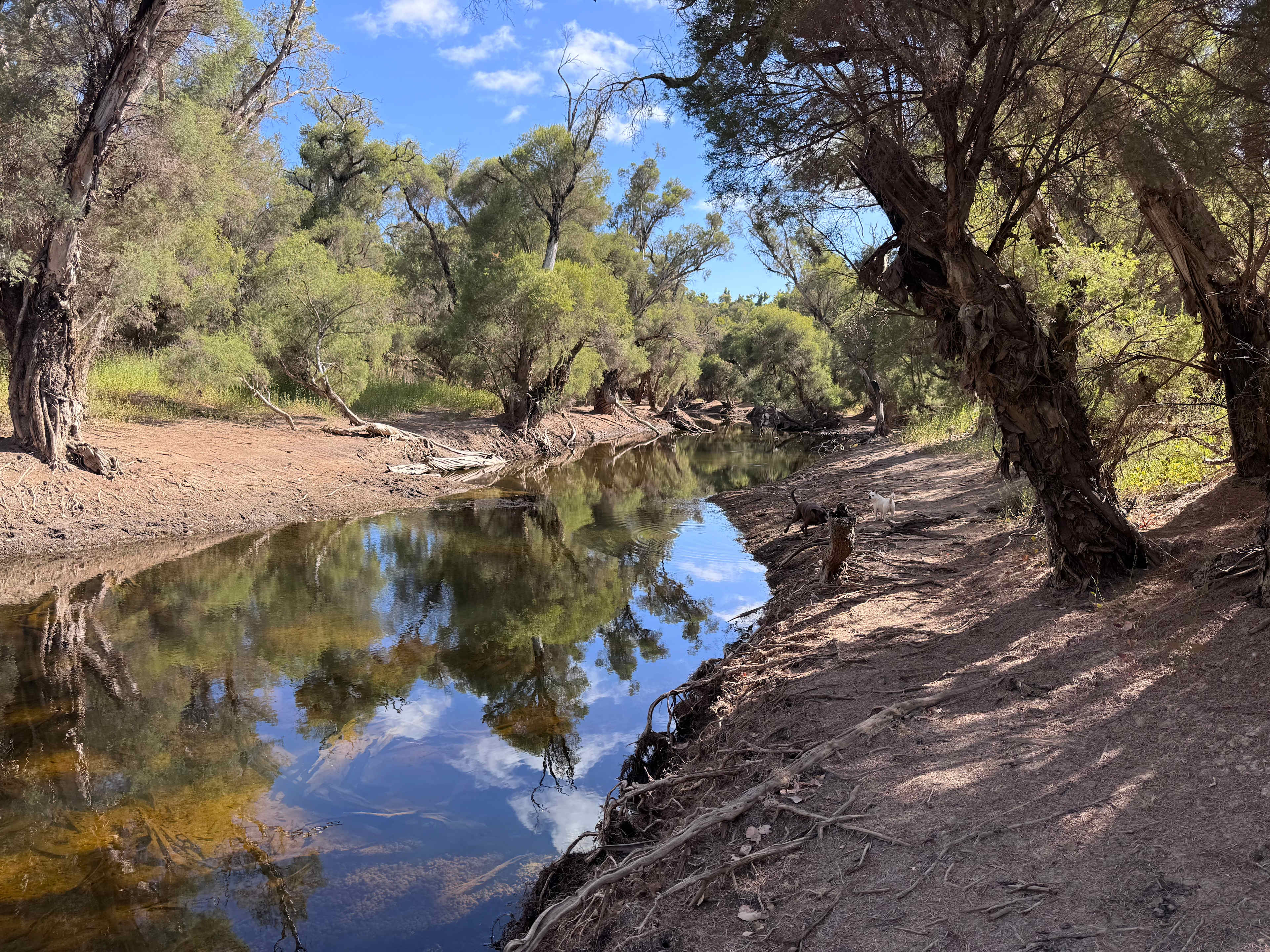 Murray Valley Camping