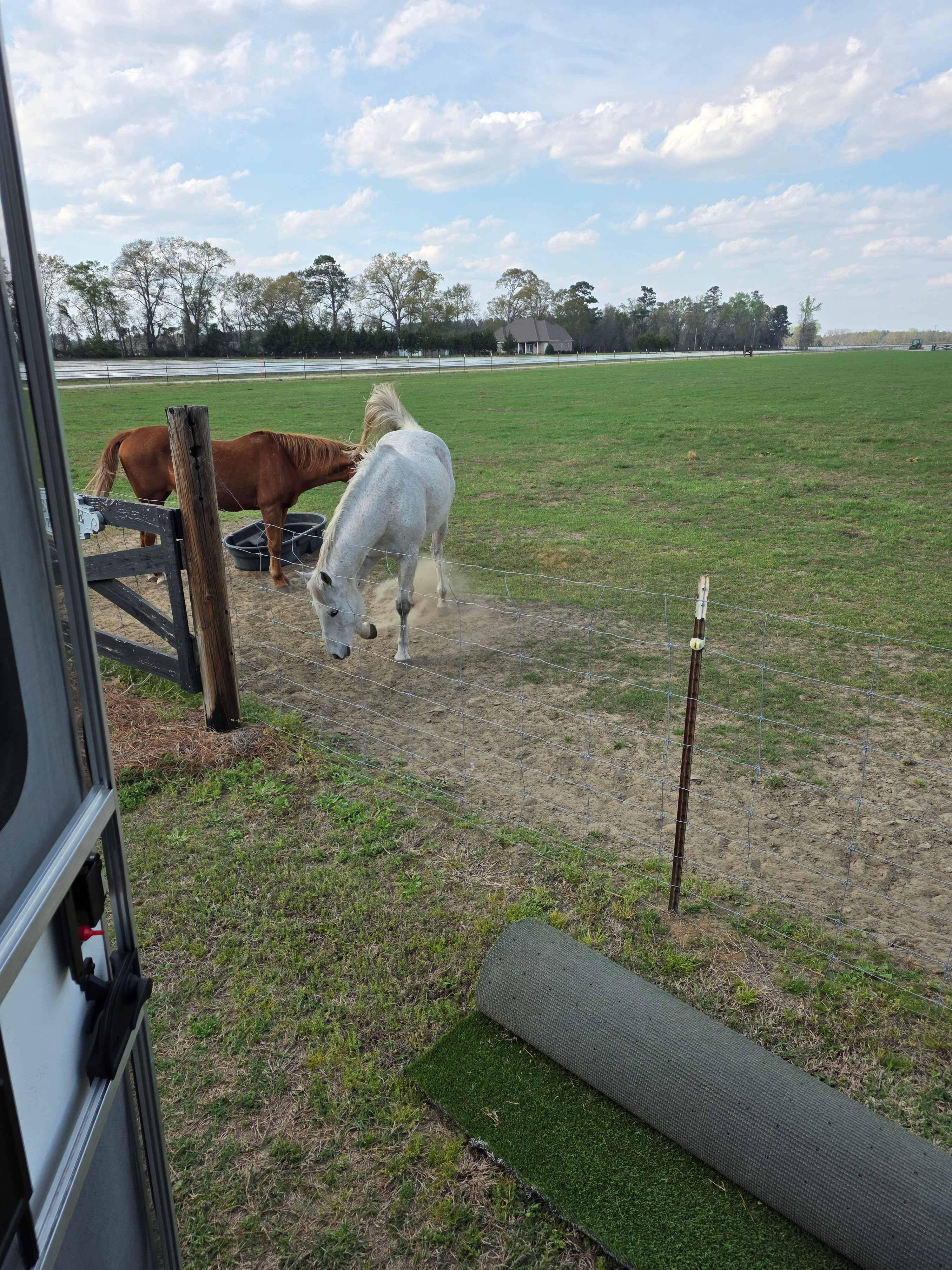 Relax at The Horse Barn