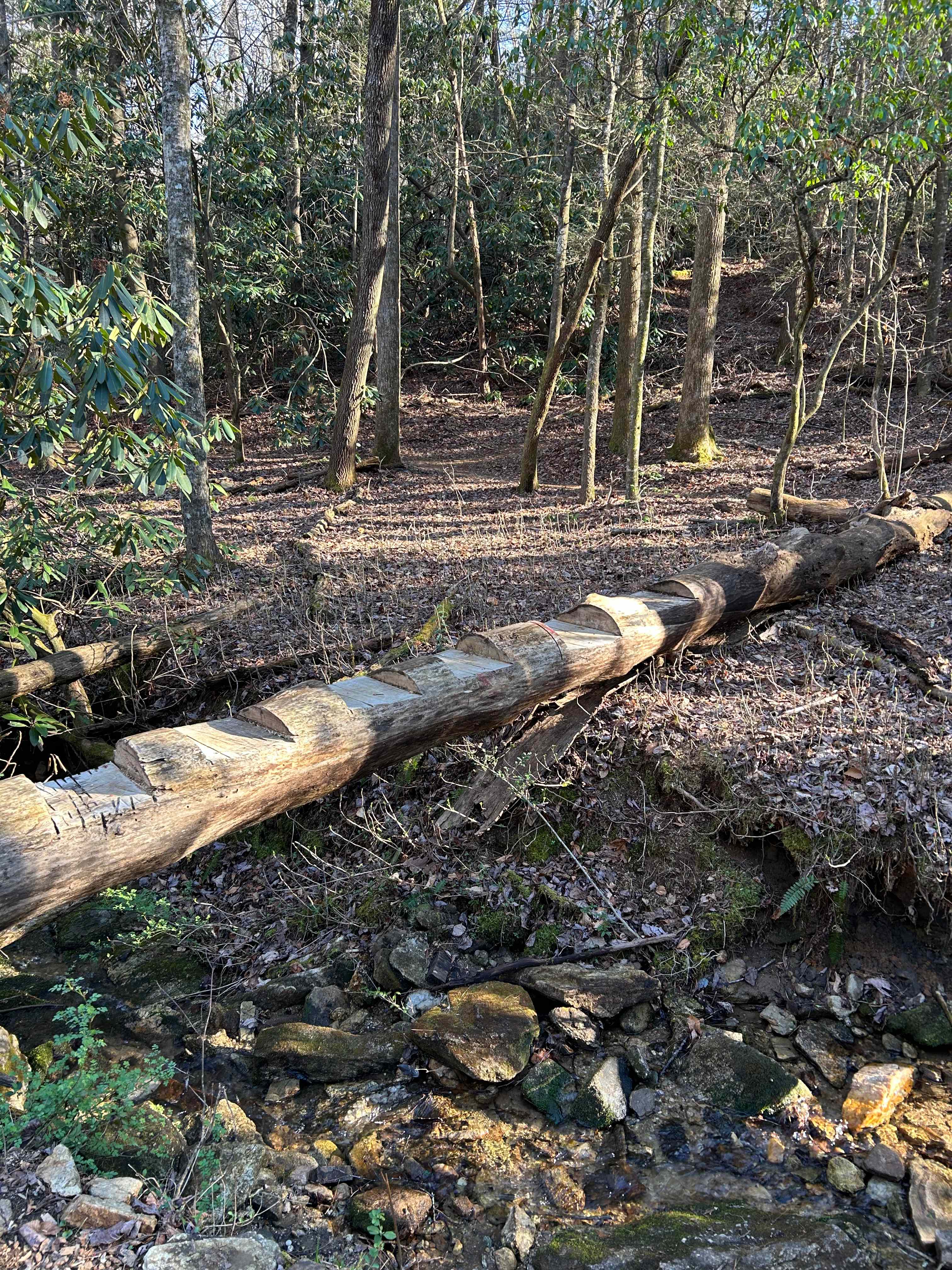 Cold Spring Basecamp