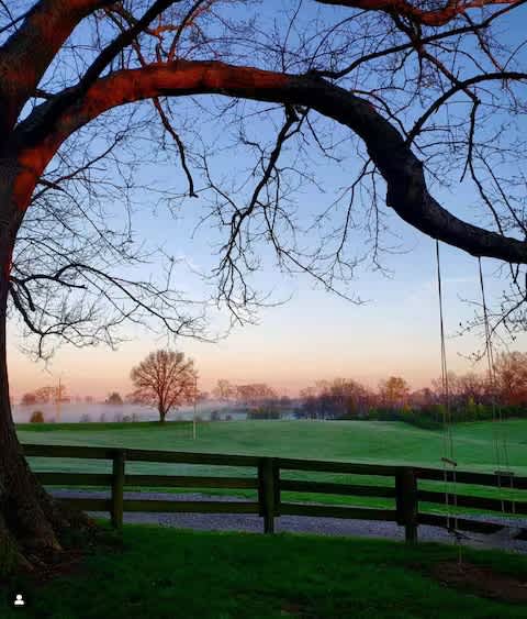 Muletown Farm | Pond | Sunset Views