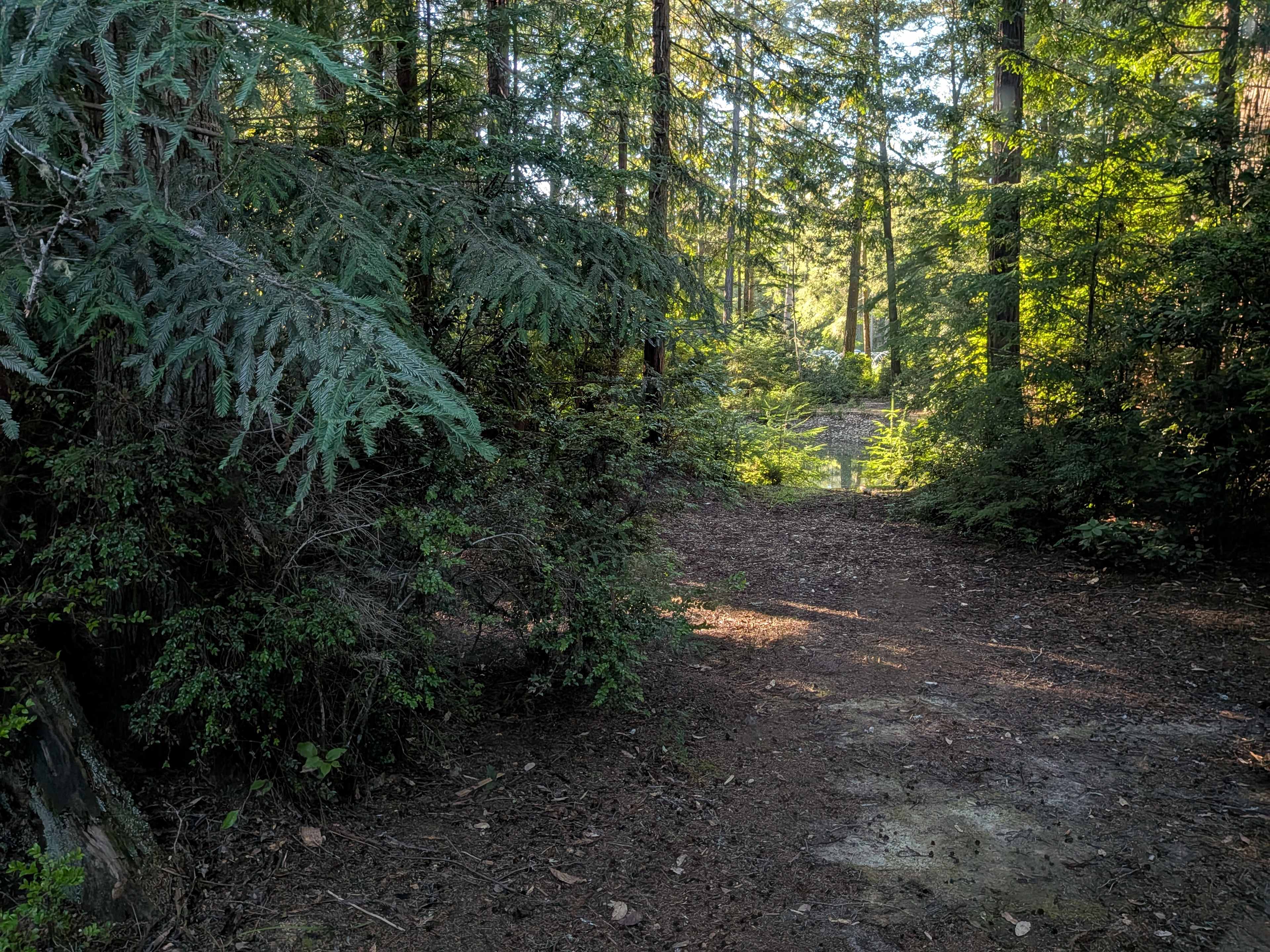 Our view was splendid