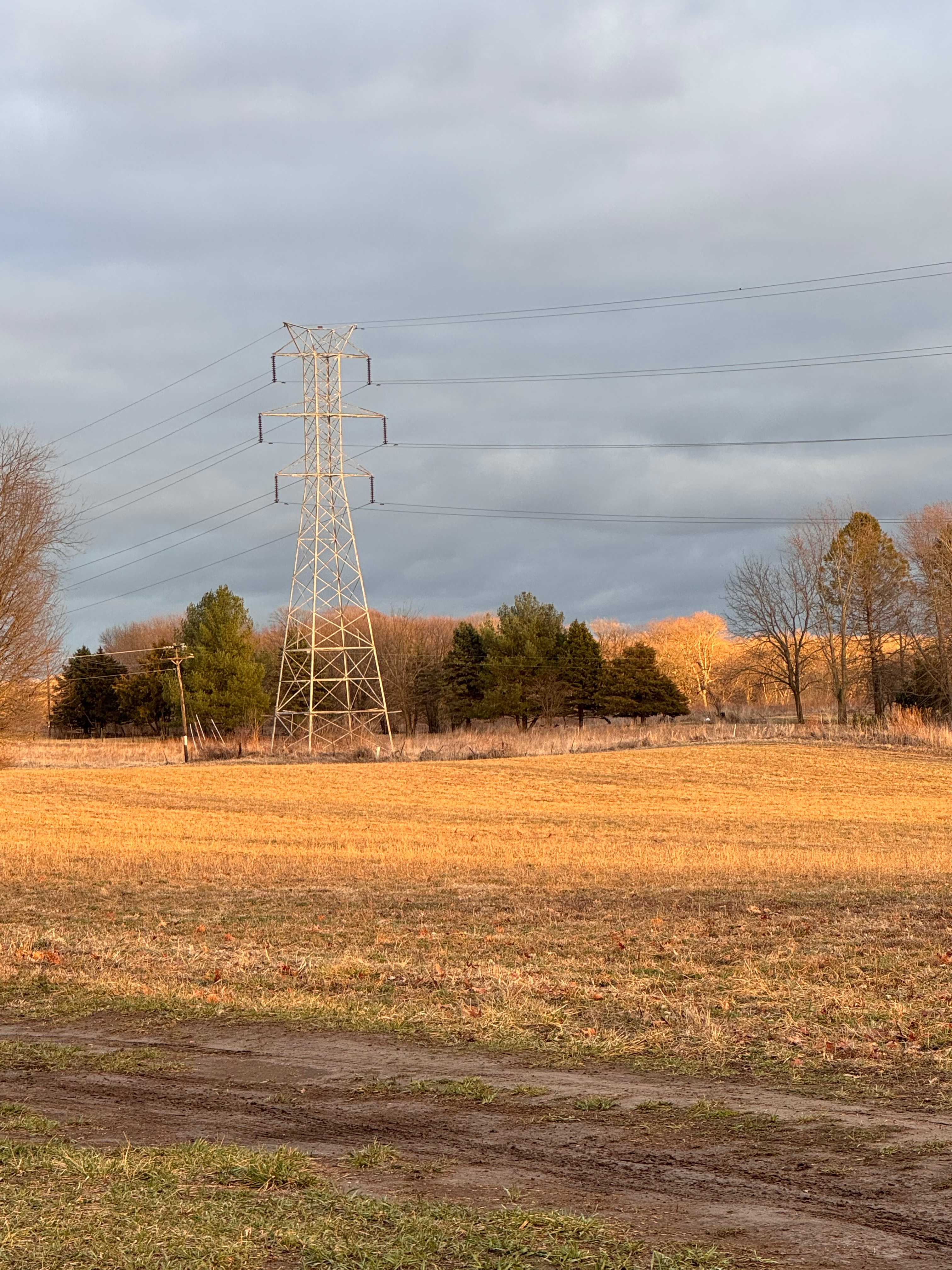 Subset across the field