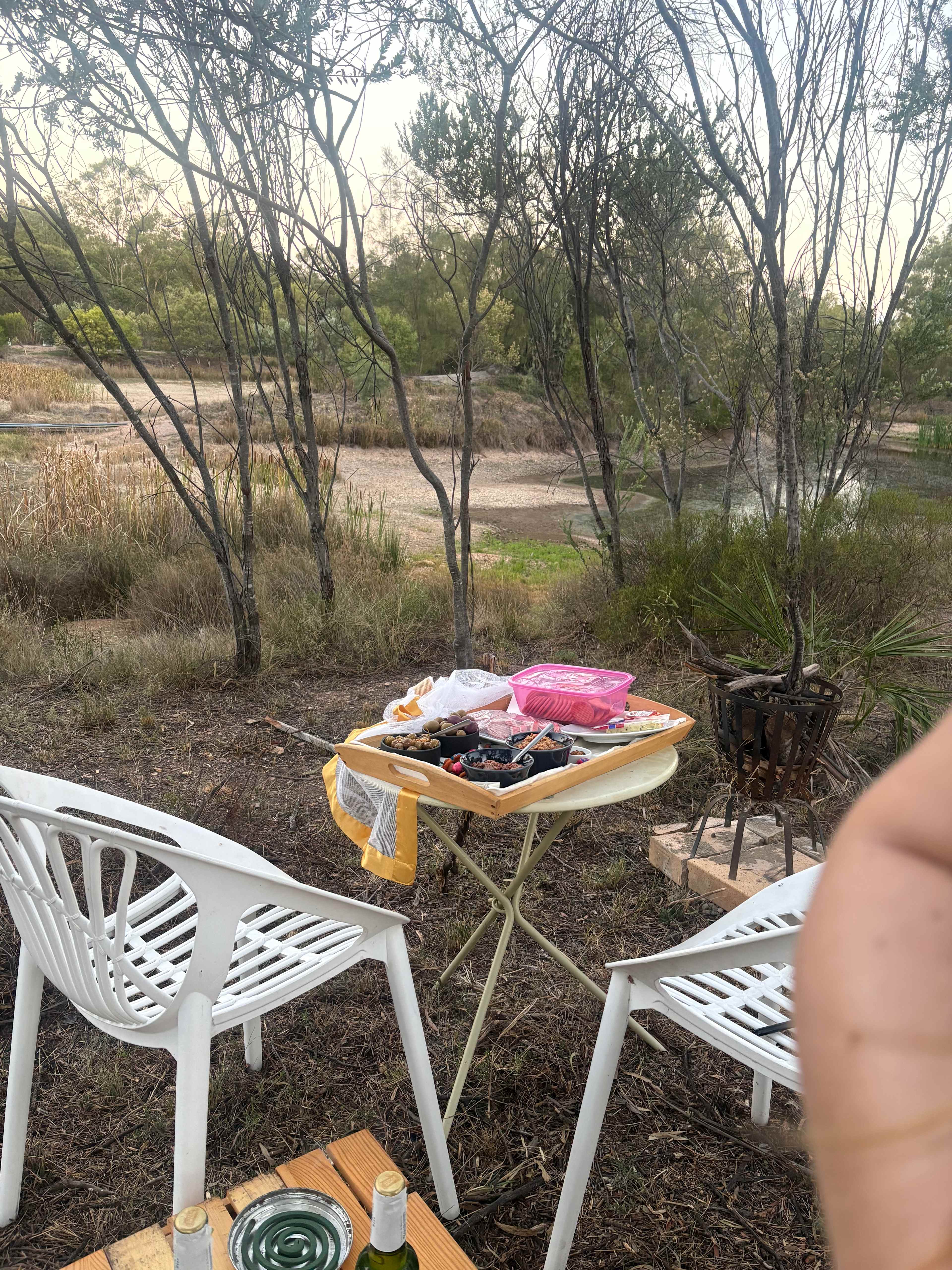 Coolmunda Organic Olives