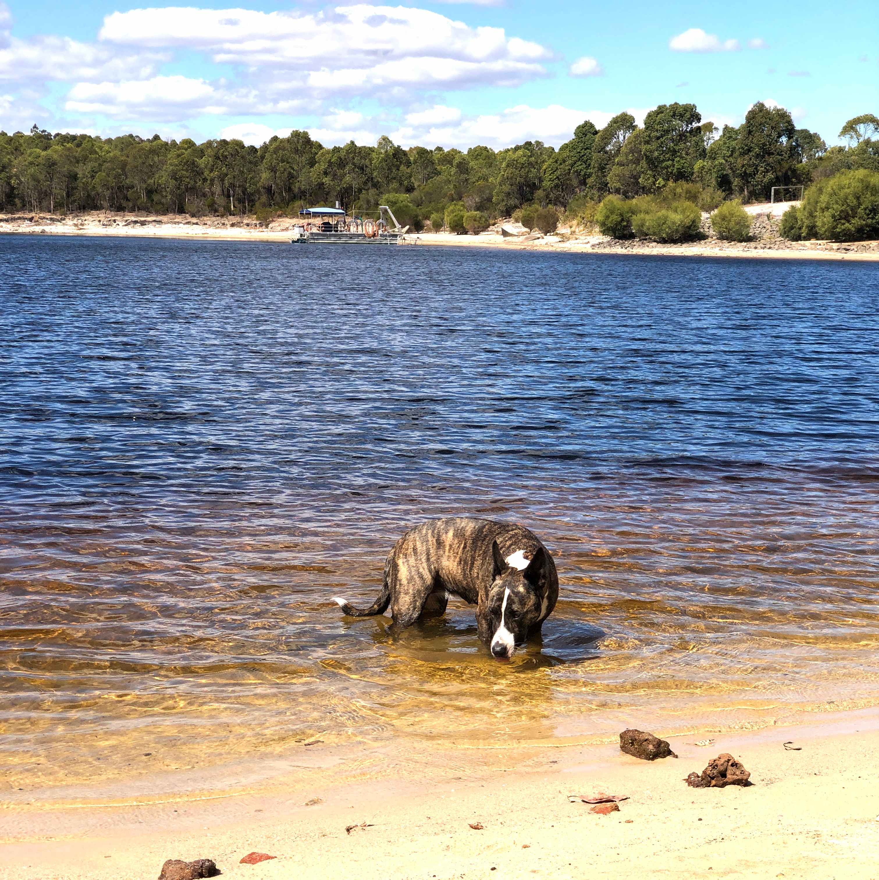 Lake Kepwari Getaway