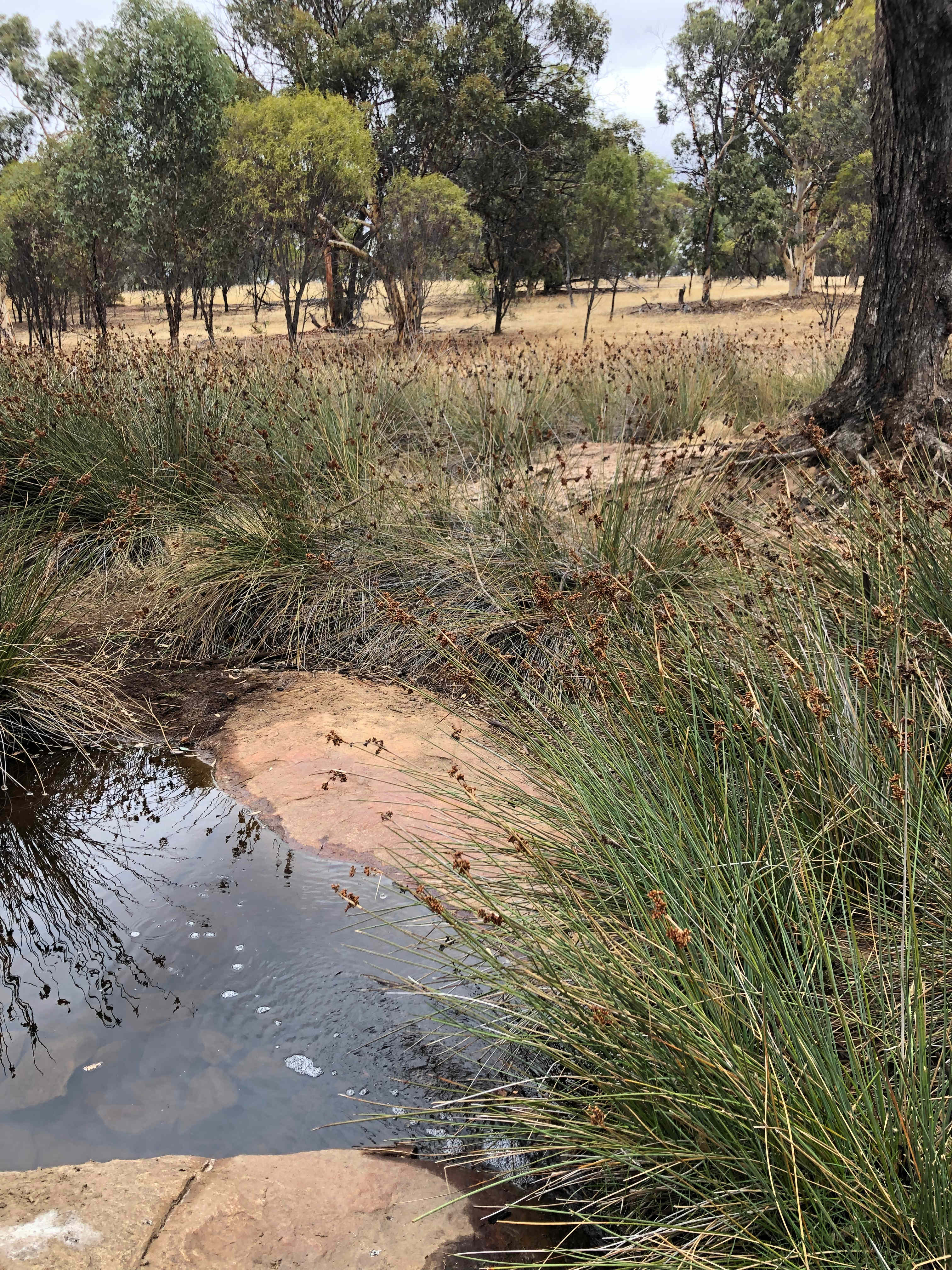 Avonbrook Wheatbelt creekside camp